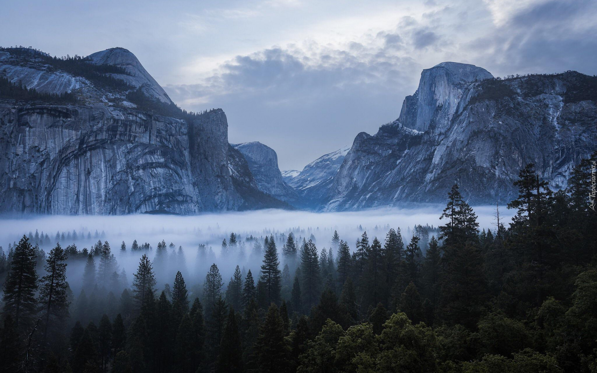 Stany Zjednoczone, Stan Kalifornia, Park Narodowy Yosemite, Góry, Sierra Nevada, Skały, Chmury, Lasy, Drzewa, Mgła