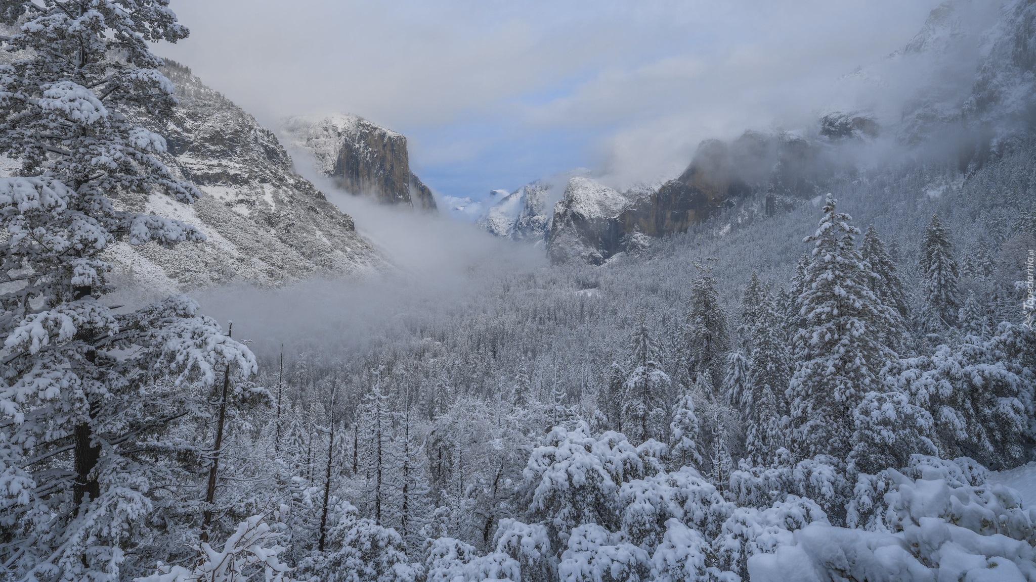 Zima, Góry, Drzewa, Lasy, Mgła, Golina, Yosemite Valley, Park Narodowy Yosemite, Kalifornia, Stany Zjednoczone