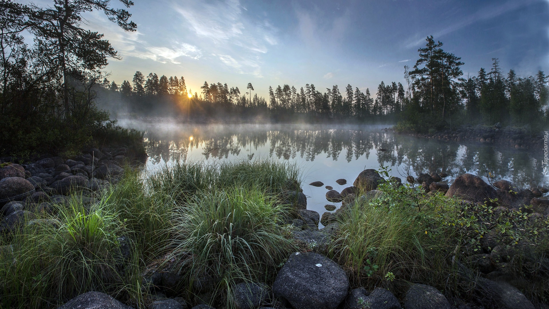 Rosja, Wschód słońca, Jezioro Ładoga, Kamienie, Drzewa, Trawa, Rośliny