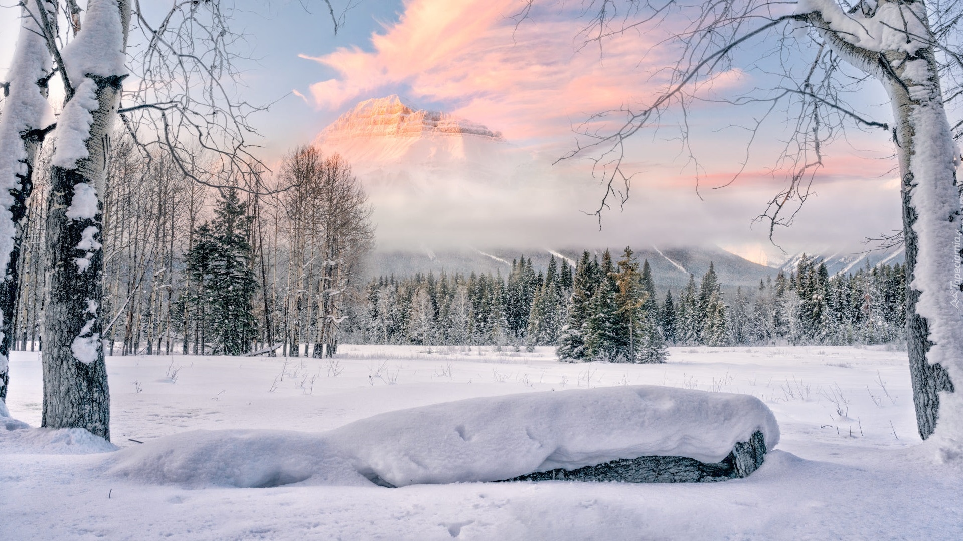 Kanada, Alberta, Park Narodowy Banff, Zima, Góry, Mgła, Góra, Pilot Mountain, Mgła, Drzewa, Chmury