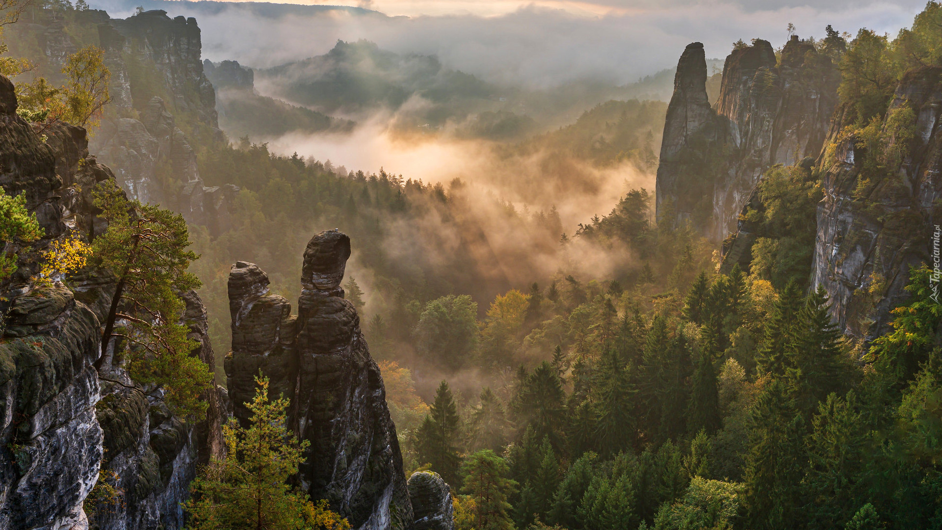 Góry Połabskie, Skały, Drzewa, Mgła, Dolina, Park Narodowy Saskiej Szwajcarii, Niemcy