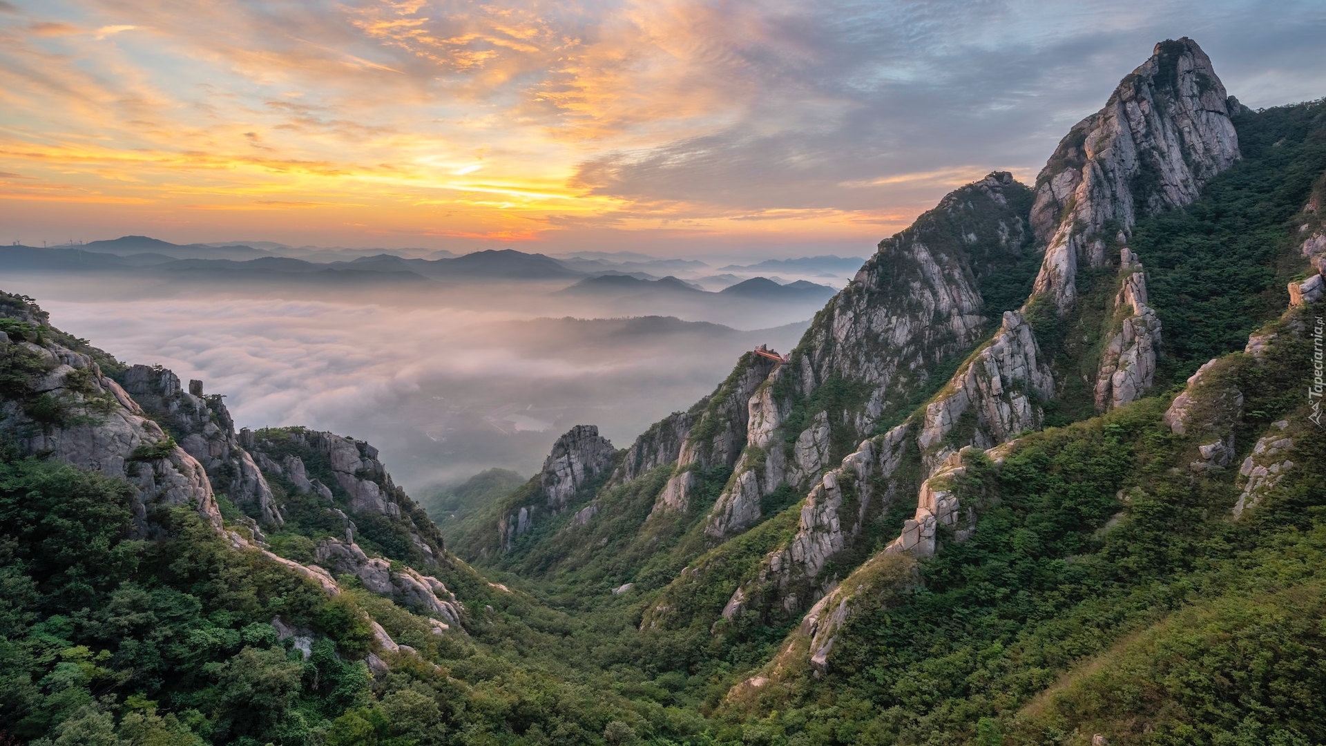 Góry, Lasy, Skały, Słoneczne światło, Mgła, Góry Wolchulsan, Park Narodowy Wolchulsan, Prowincja Jeolla Południowa, Korea Południowa