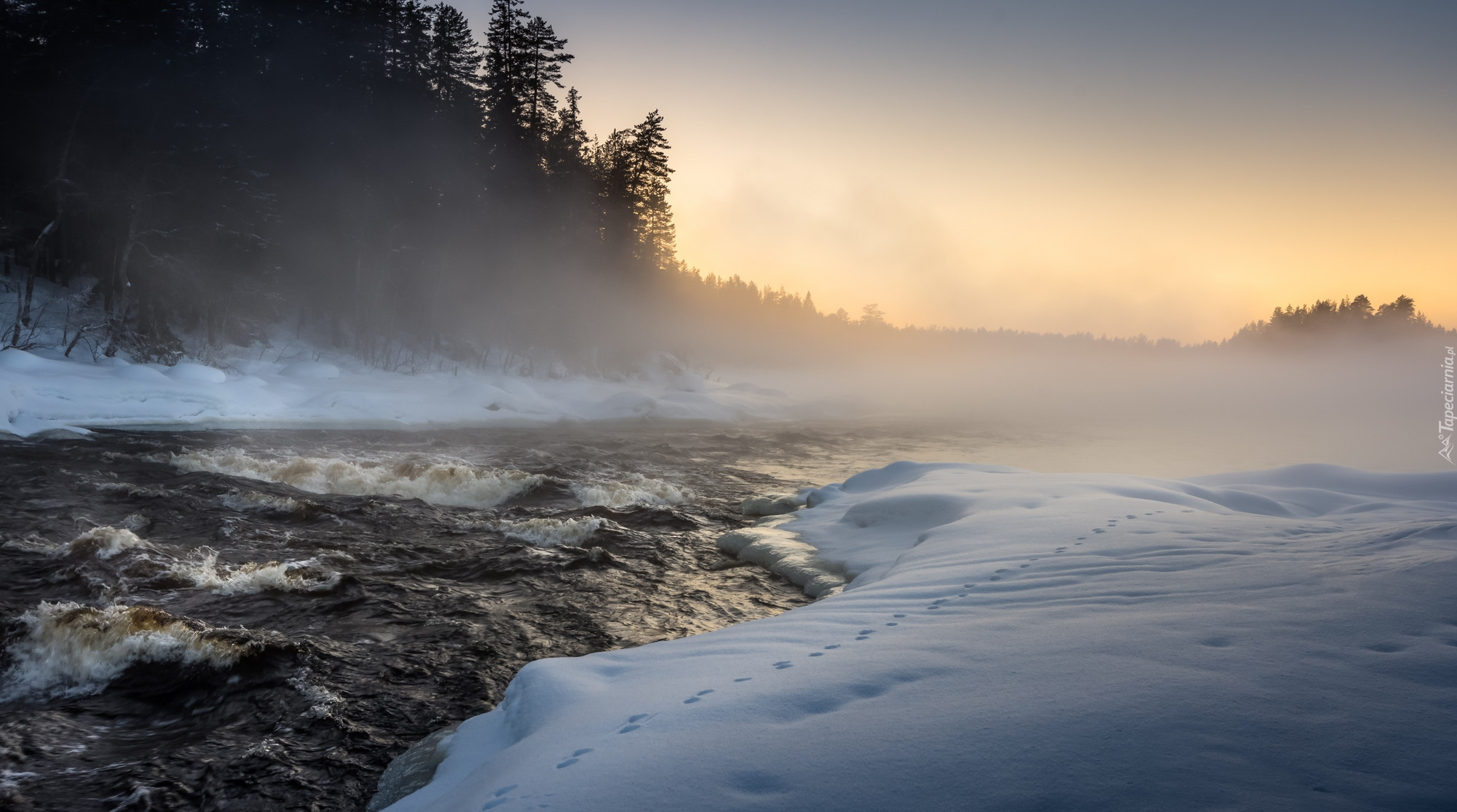 Finlandia, Karelia Północna, Miasto Lieksa, Ruunaa, Rzeka Neitikoski Rapid, Zima, Mgła, Drzewa