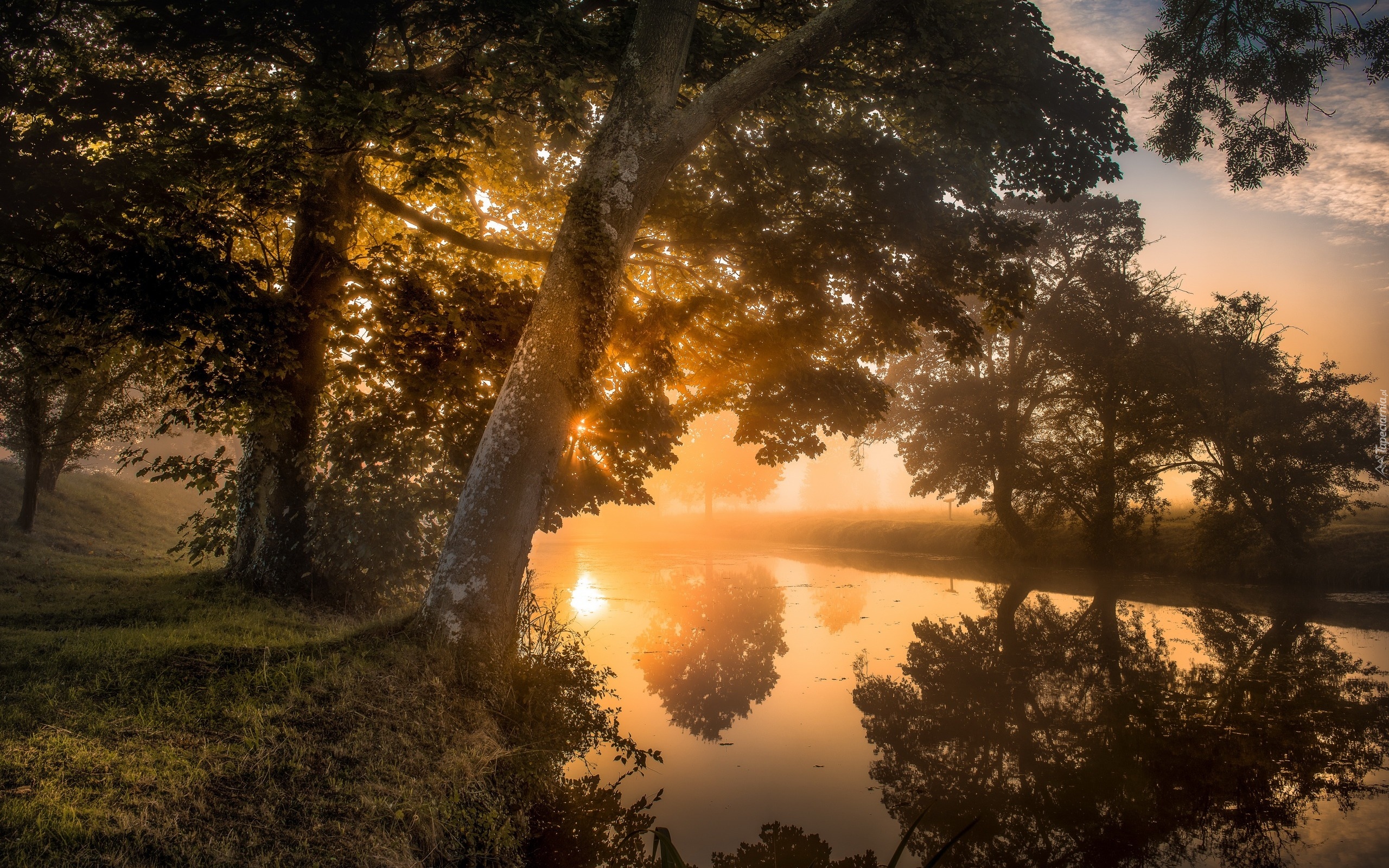 Anglia, Hrabstwo Northamptonshire, Lyveden New Bield, Rzeka, Mgła, Drzewa, Poranek, Wschód słońca