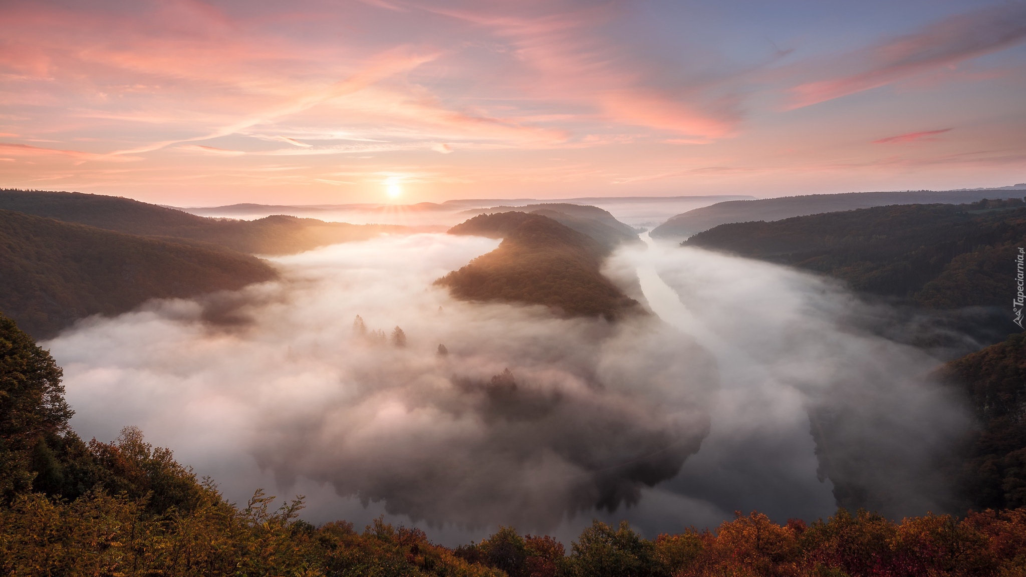 Rzeka, Saara River, Mgła, Lasy, Wschód słońca, Mettlach, Niemcy