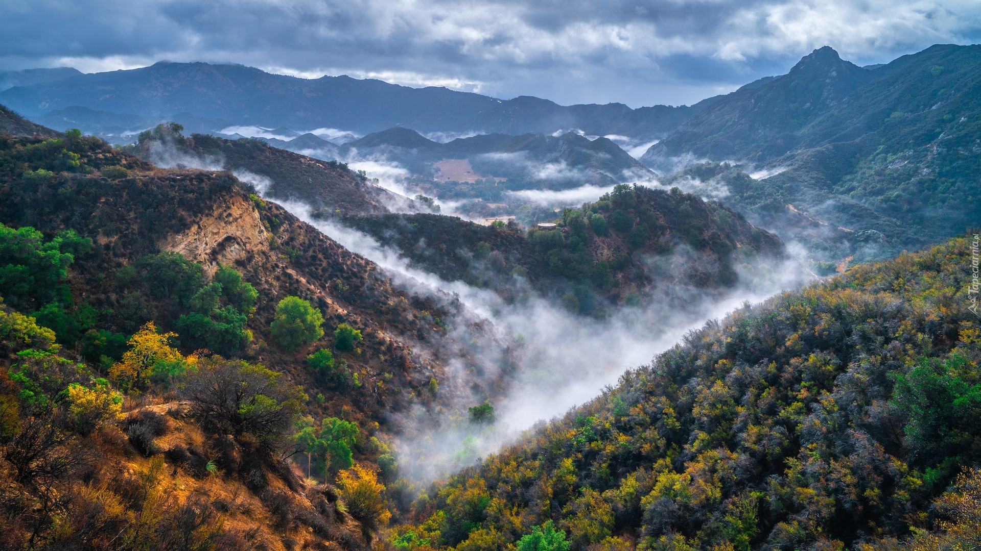 Stany Zjednoczone, Kalifornia, Park stanowy Malibu Creek, Trawy, Góry Santa Monica, Wąwóz, Mgła, Roślinność