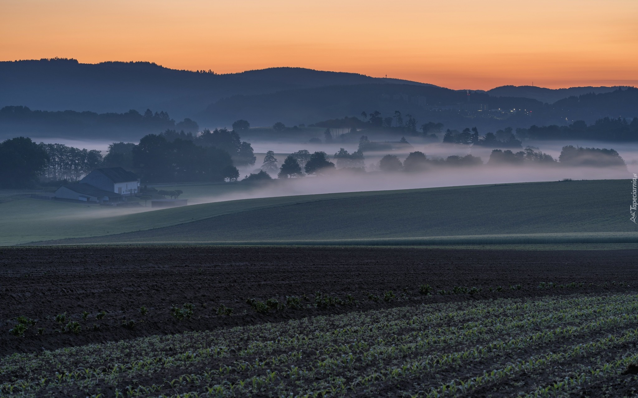 Pola, Dolina, Drzewa, Mgła, Wschód słońca, Góry, Eifel, Nadrenia-Palatynat, Niemcy
