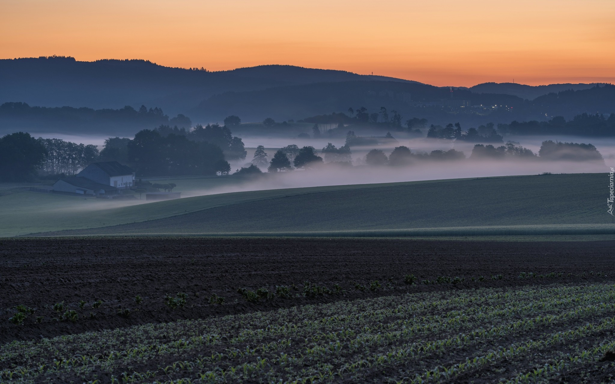 Pola, Dolina, Drzewa, Mgła, Wschód słońca, Góry, Eifel, Nadrenia-Palatynat, Niemcy