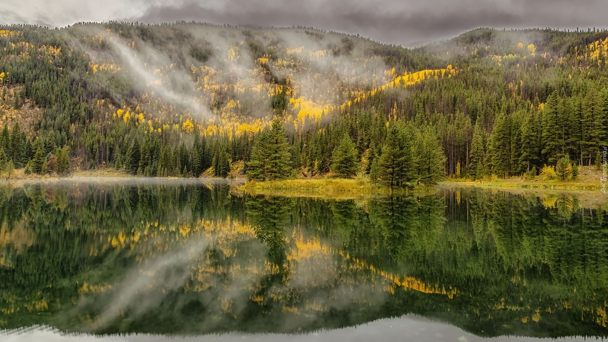 Jesień, Góry, Mgła, Drzewa, Jezioro, Stan Kolorado, Stany Zjednoczone