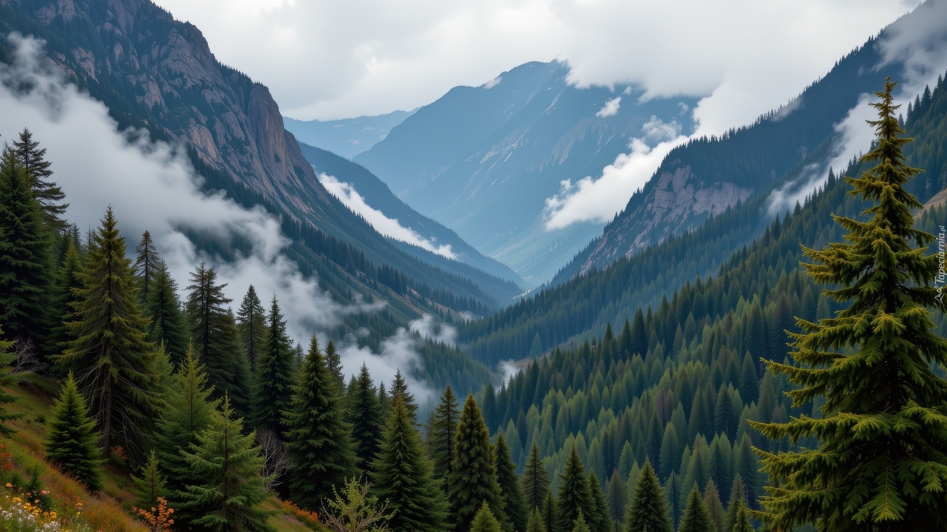 Góry, Chmury, Las, Drzewa, Dolina