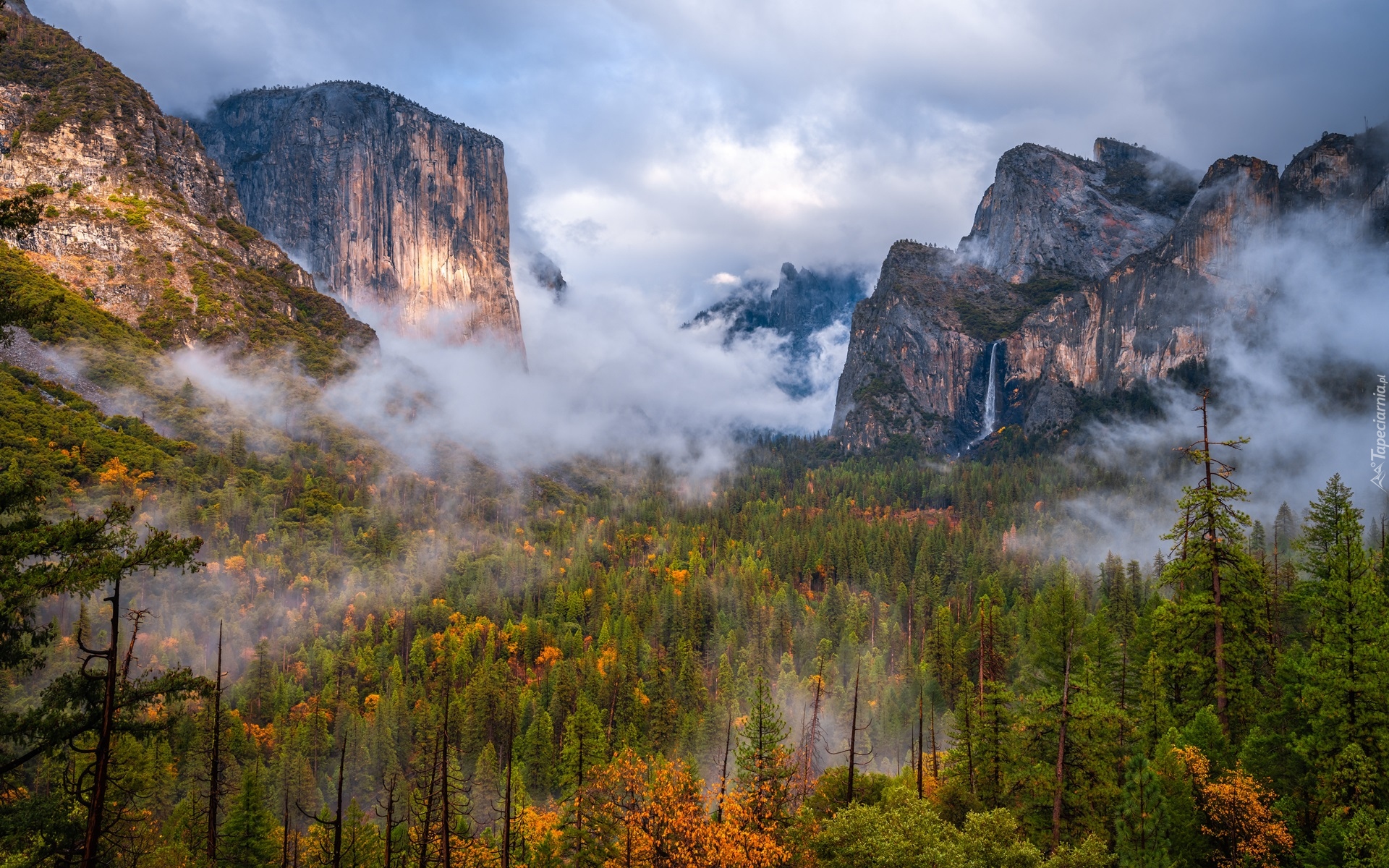 Stany Zjednoczone, Kalifornia, Park Narodowy Yosemite, Dolina, Yosemite Valley, Góry, Skały, Jesień, Drzewa, Mgła, Chmury