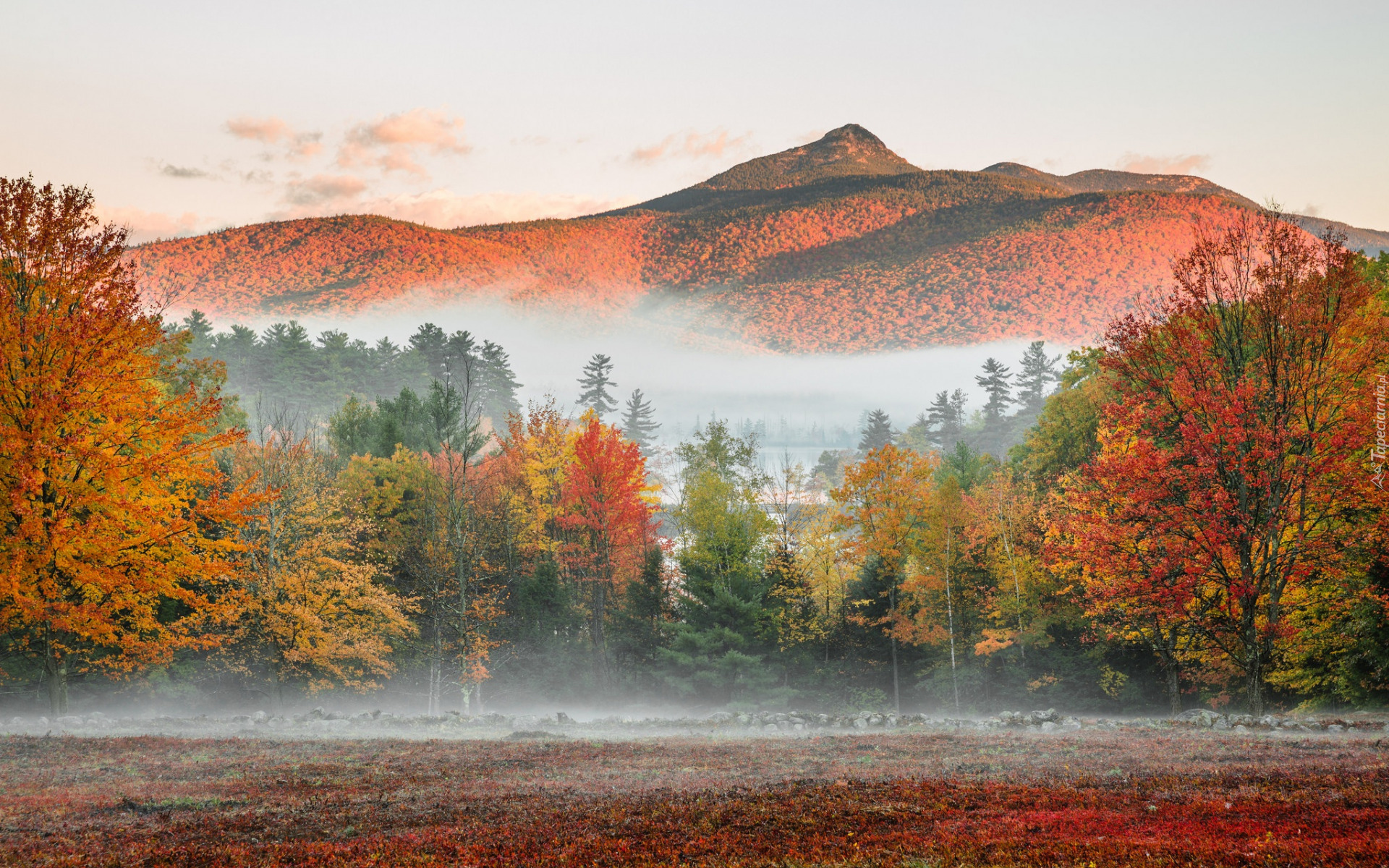 Mgła, Kolorowe, Drzewa, Lasy, Góry, White Mountains, Góra, Mount Chocorua, Jesień, Stan New Hampshire, Stany Zjednoczone