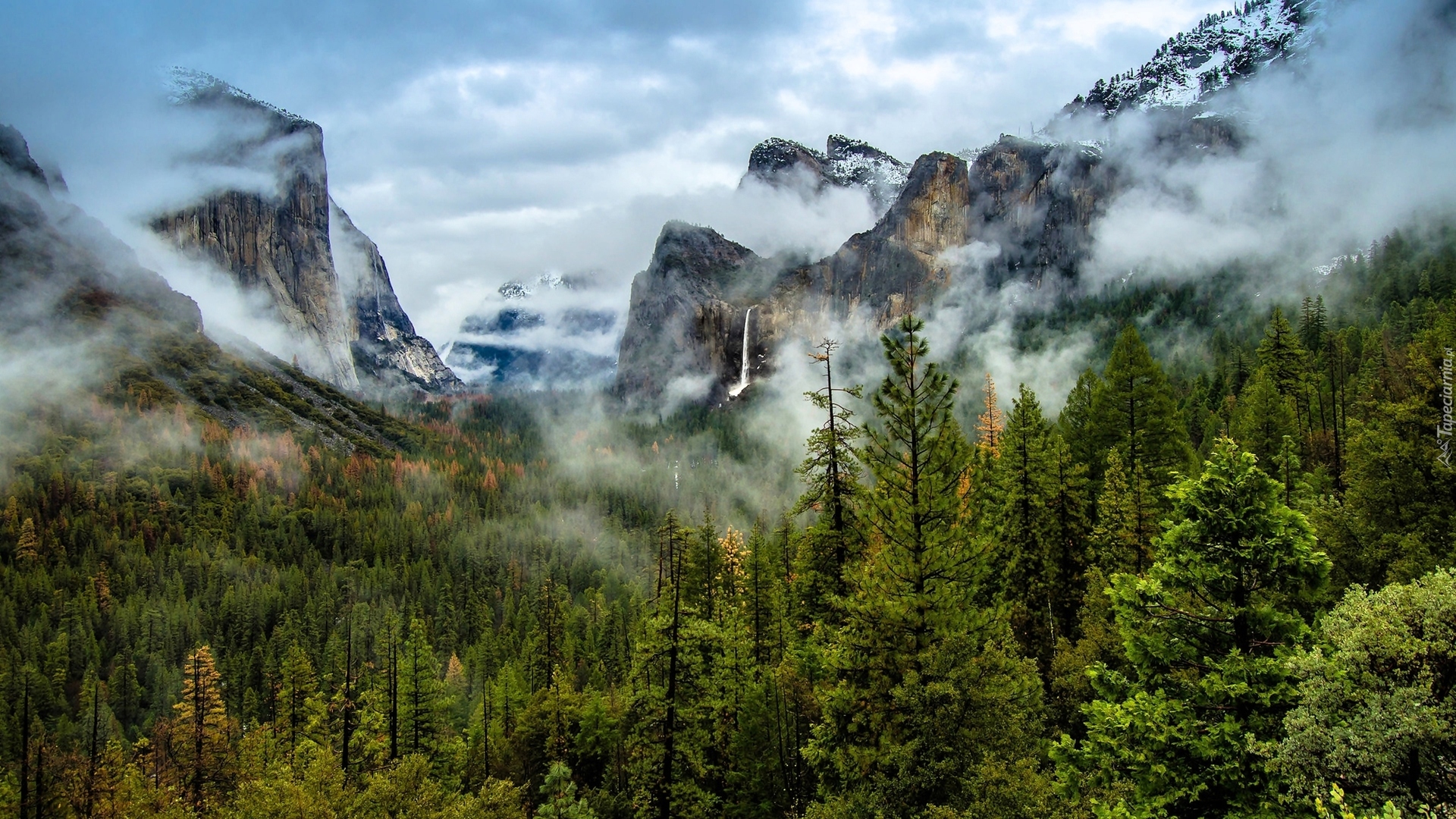 Stany Zjednoczone, Kalifornia, Park Narodowy Yosemite, Góry, Skały, Drzewa, Dolina, Mgła