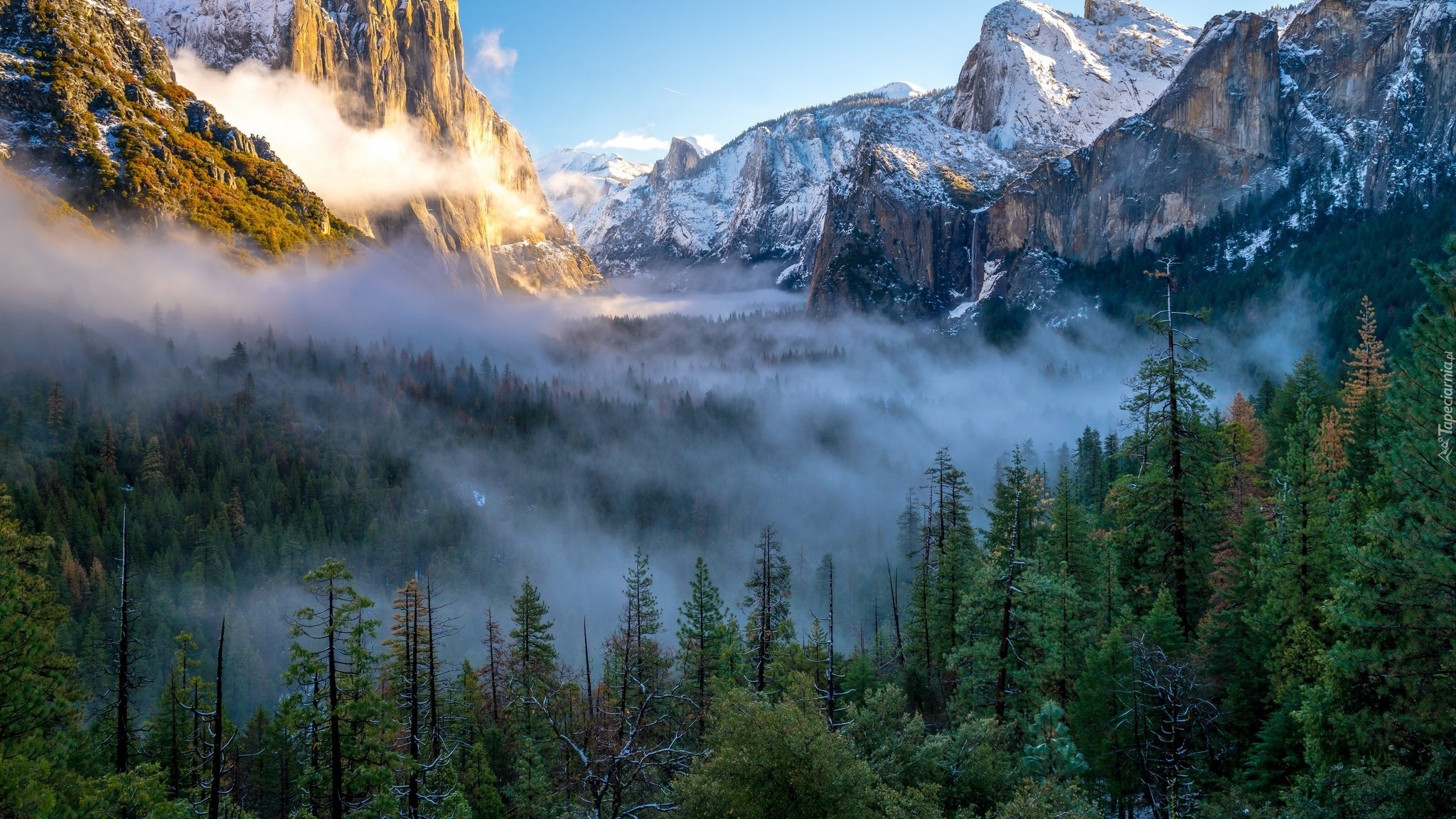 Dolina Yosemite Valley, Park Narodowy Yosemite, Lasy, Mgła, Góry, Stan Kalifornia, Stany Zjednoczone