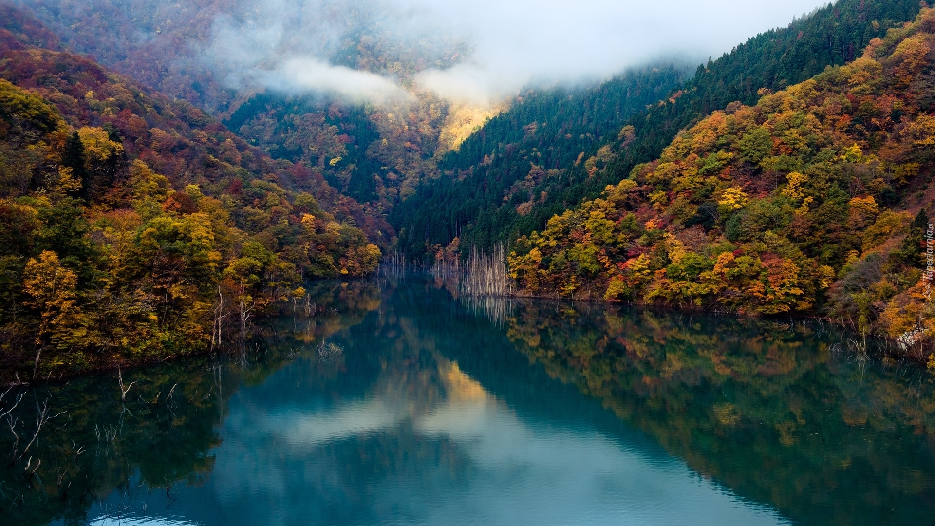 Jesień, Góry, Drzewa, Mgła