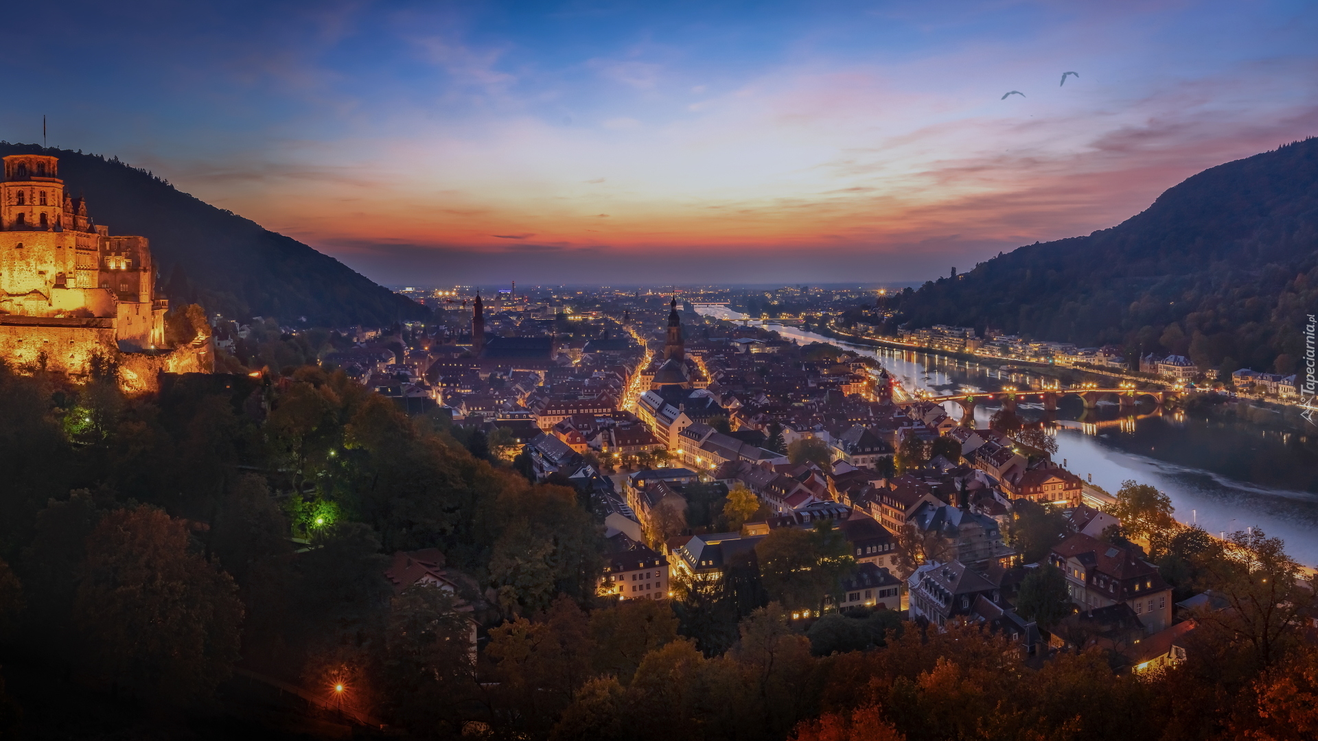 Miasto, Heidelberg, Zachód słońca, Rzeka Neckar, Zamek, Drzewa, Badenia-Wirtembergia, Niemcy