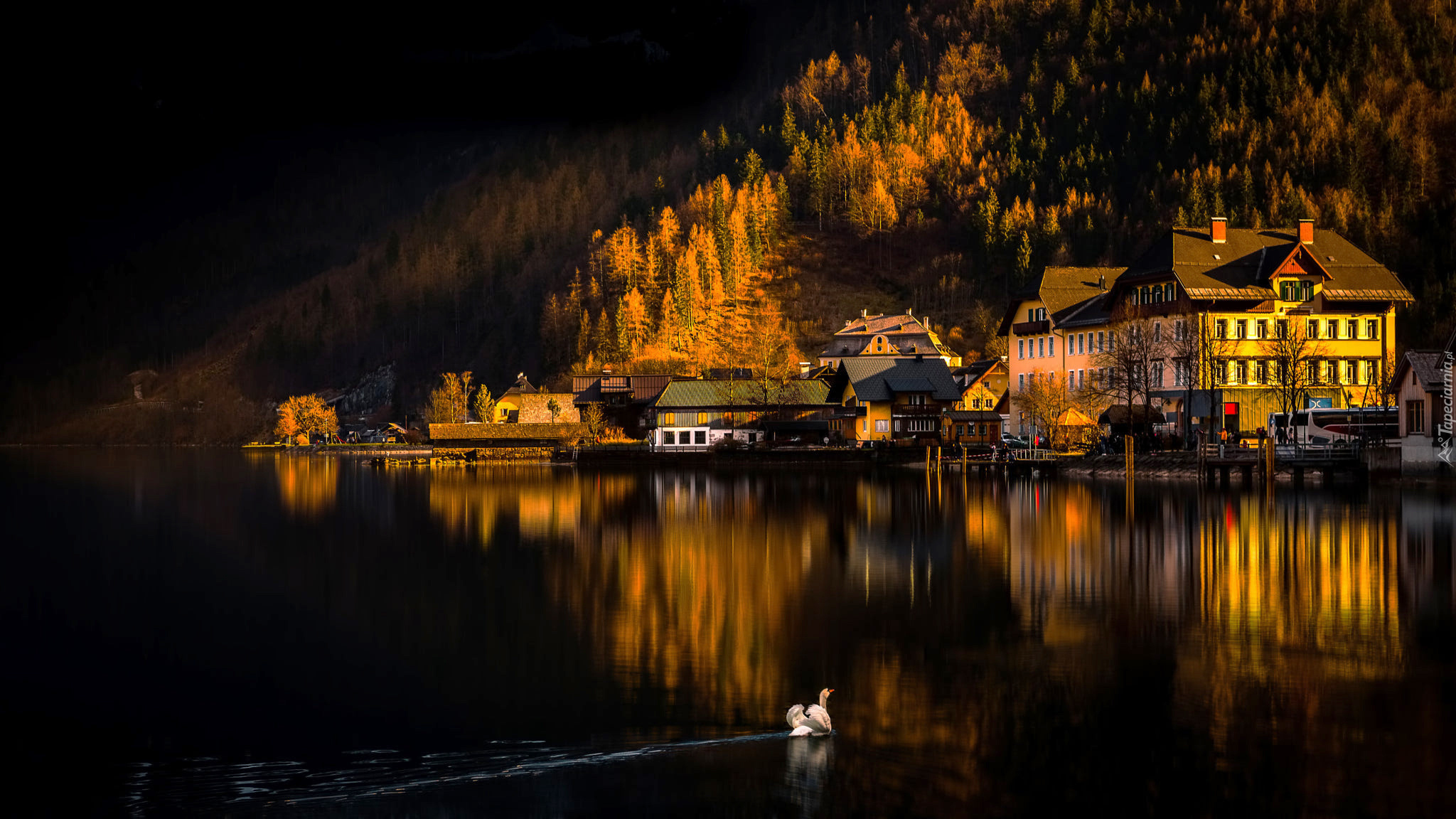 Austria, Miasteczko Hallstatt, Jezioro Hallstättersee, Góry Alpy Salzburskie, Domy, Łabędź