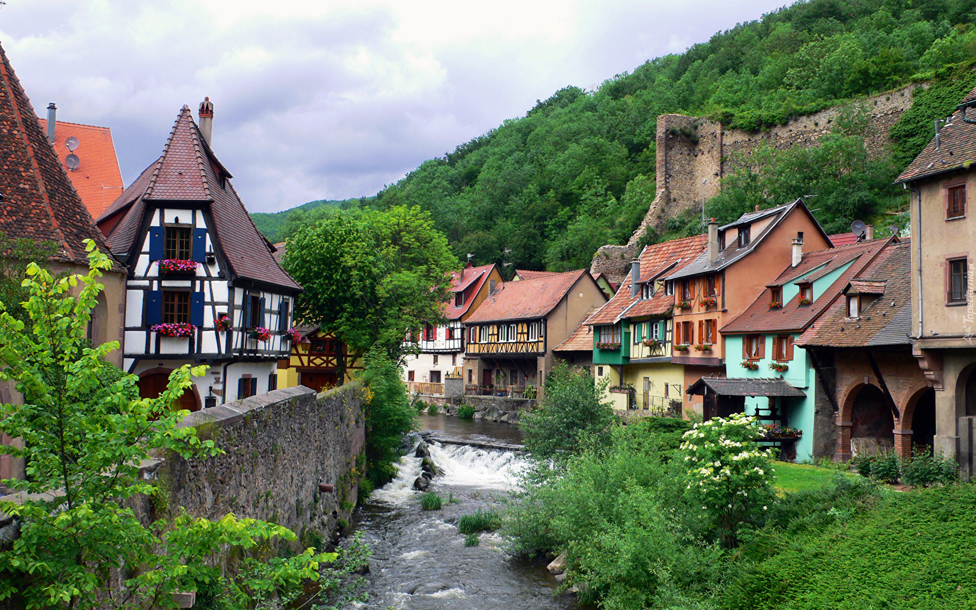 Francja, Alzacja, Kaysersberg, Domy, Rzeka Weiss, Drzewa