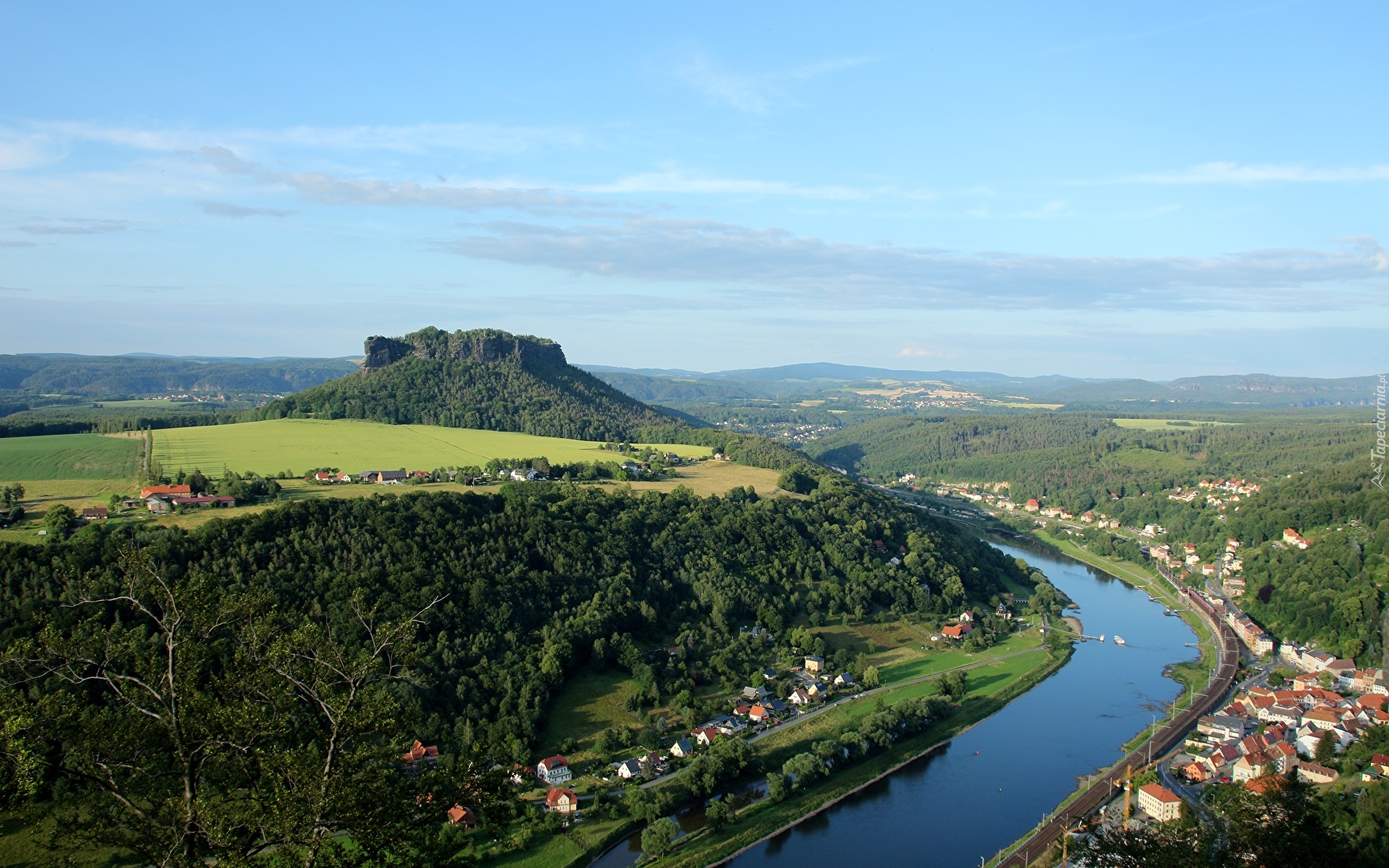 Las, Drzewa, Rzeka Łaba, Góra Lilienstein, Domy, Miasteczko Konigstein, Saksonia, Niemcy