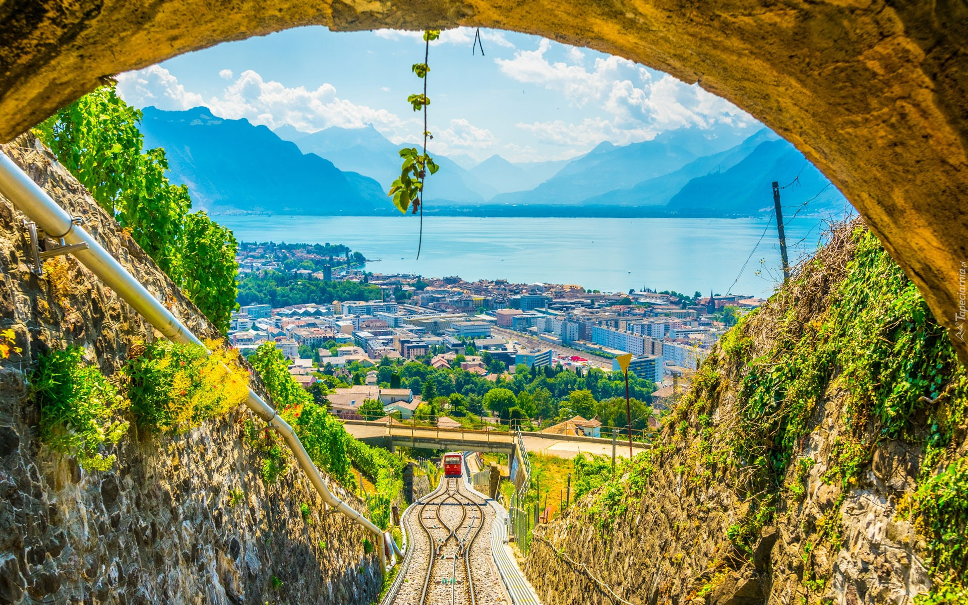 Szwajcaria, Kanton Vaud, Vevey, Góry, Alpy, Jezioro Genewskie, Domy