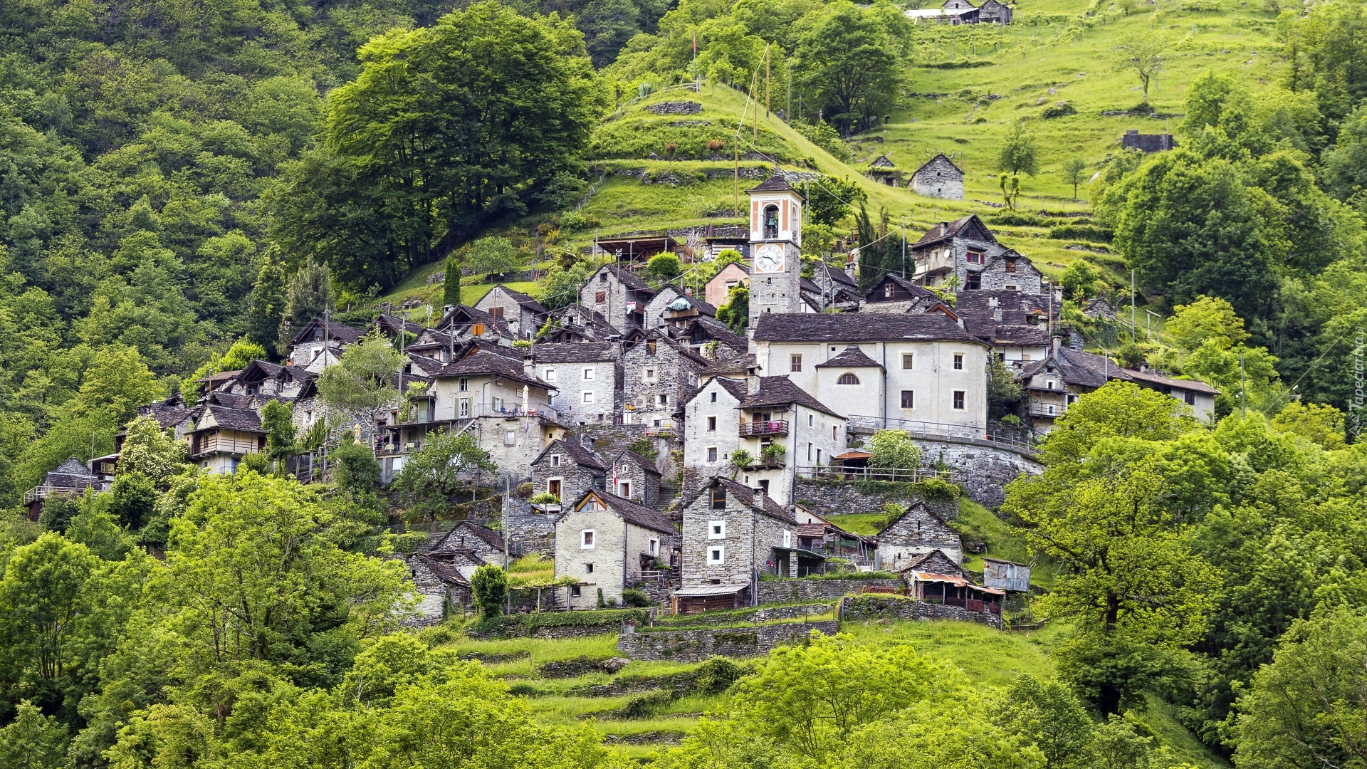 Wzgórza, Stok, Zieleń, Roślinność, Drzewa, Domy, Corippo, Kanton Tessin, Locarno, Szwajcaria