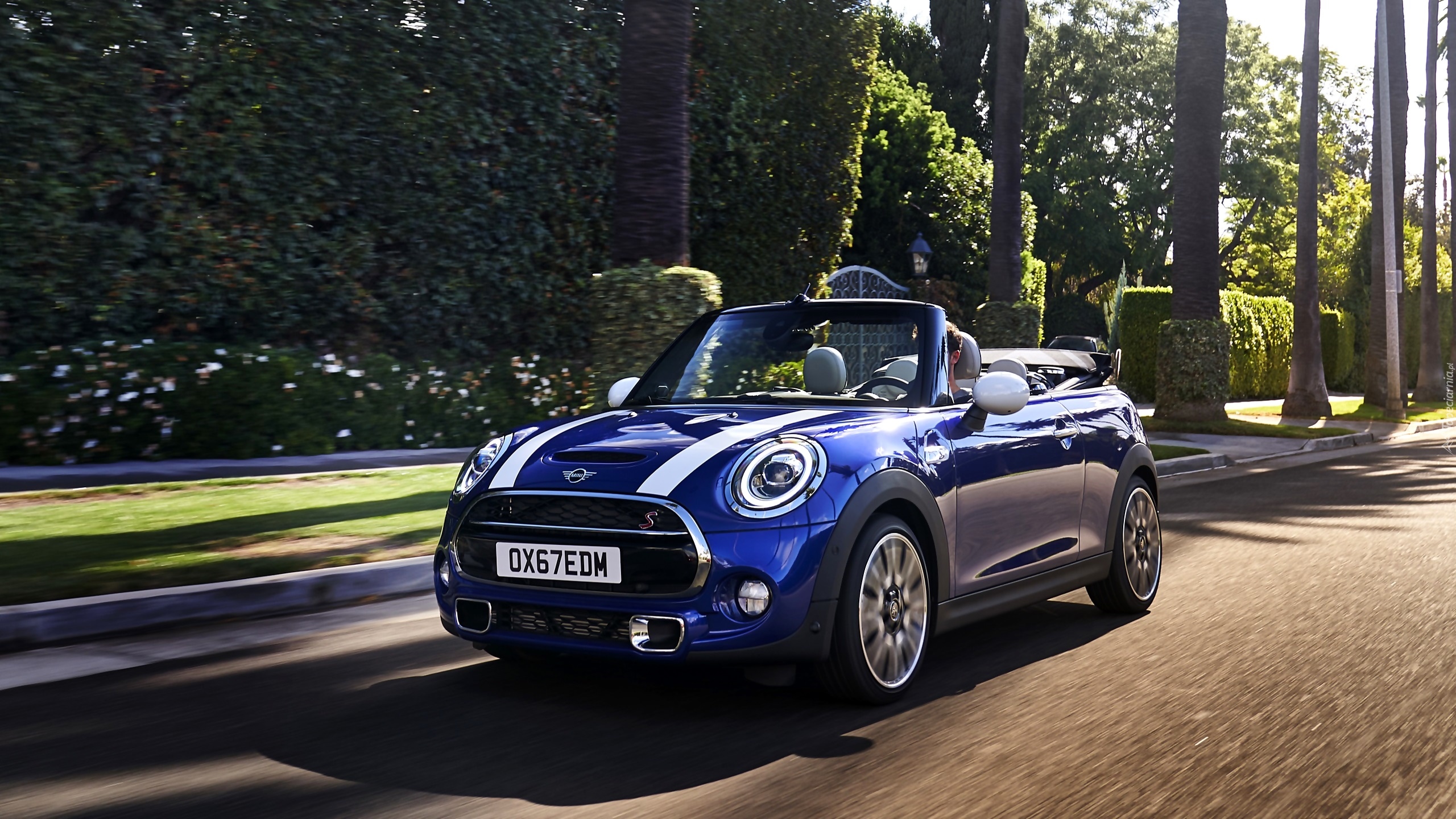 Niebieskie, Mini Cooper S, Convertible, 2019