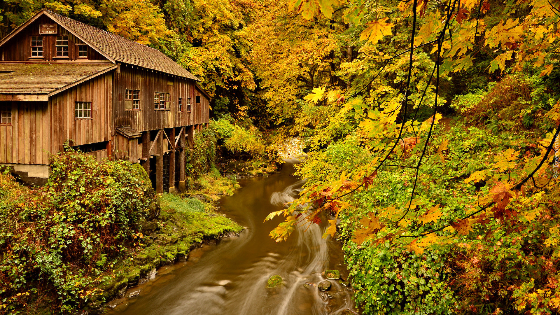 Młyn, Cedar Creek Grist Mill, Rzeka, Lewis River, Drzewa, Las, Jesień, Woodland, Stan Waszyngton, Stany Zjednoczone