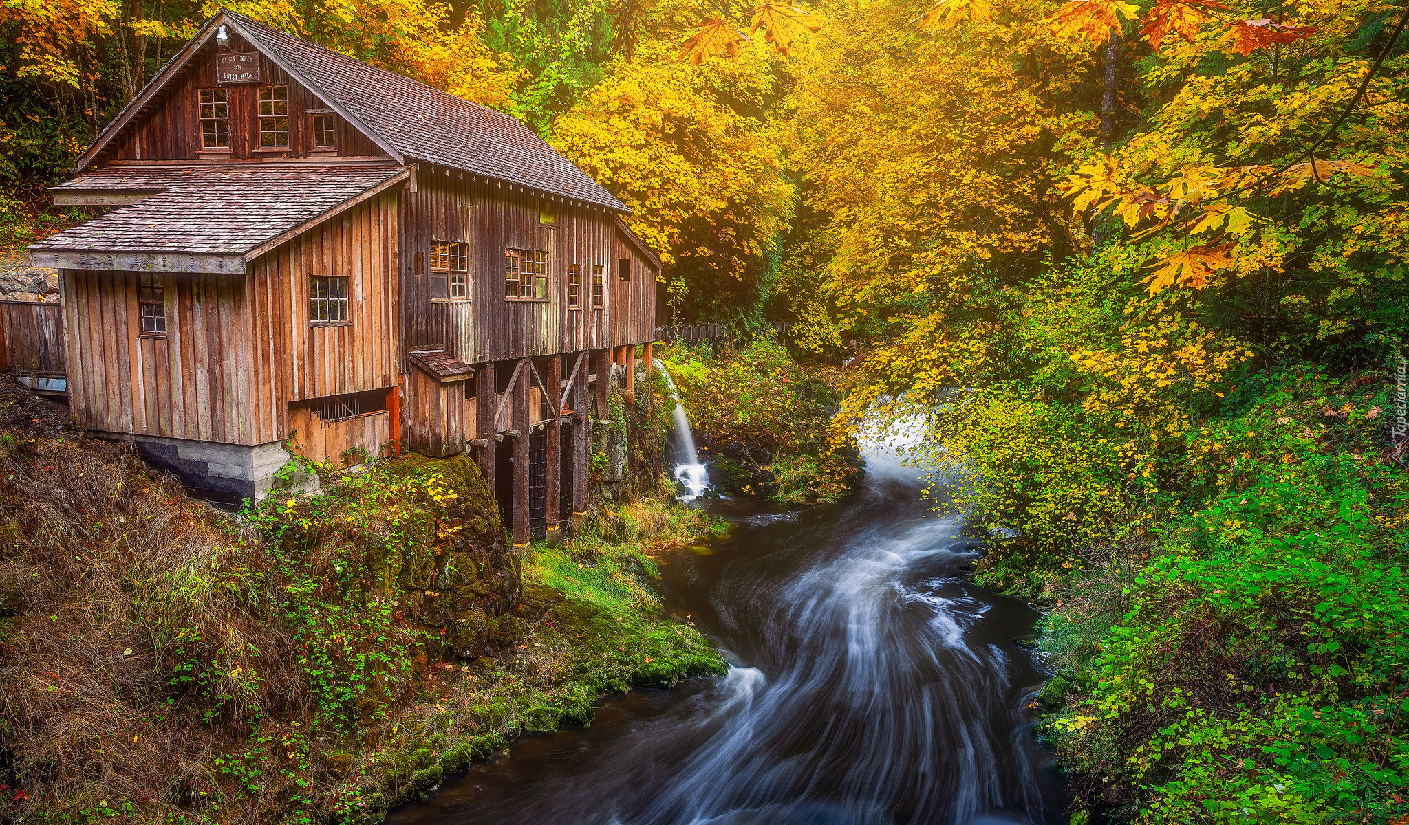 Jesień, Las, Drzewa, Wodospad, Rzeka, Młyn Cedar Creek Grist Mill, Stan Waszyngton, Stany Zjednoczone