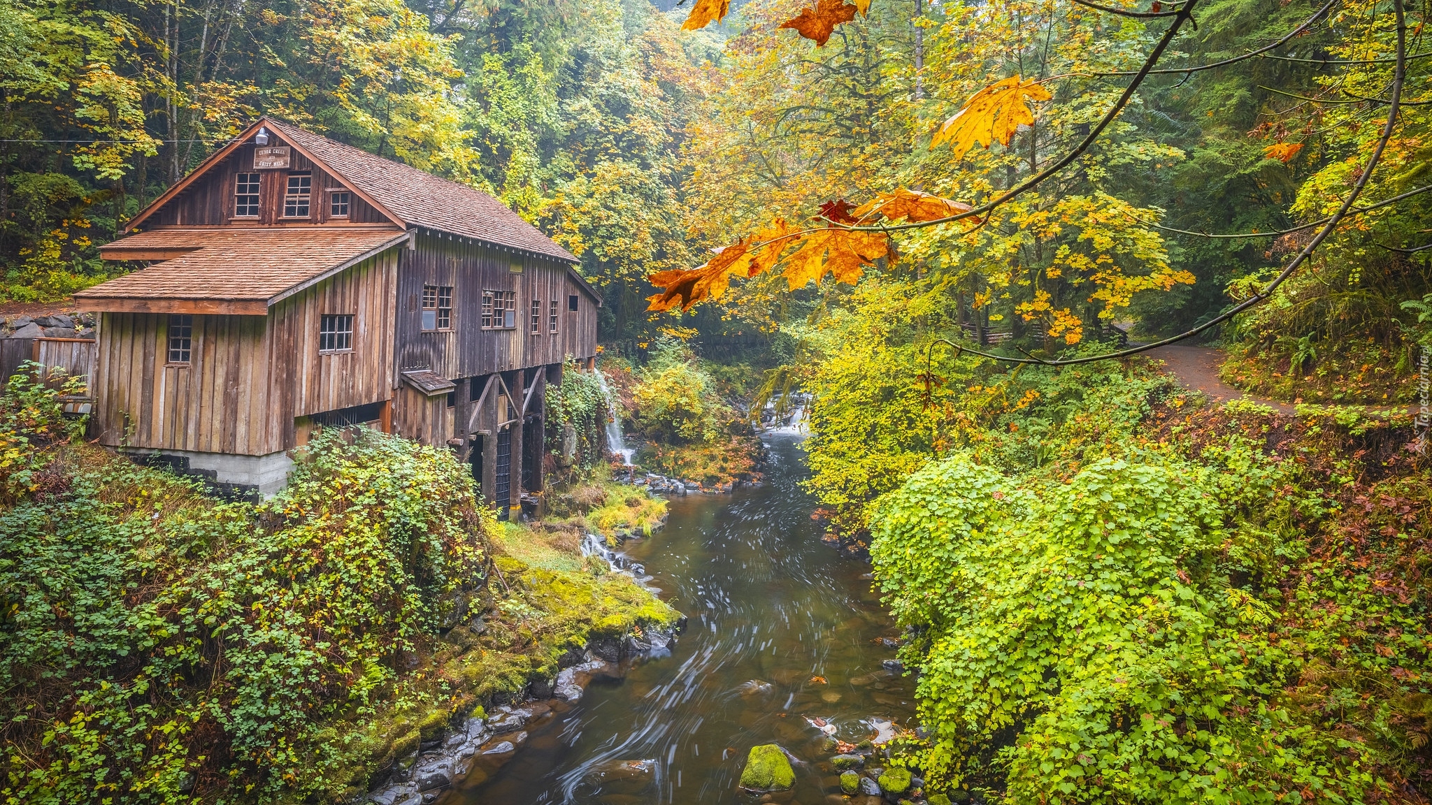 Jesień, Las, Drzewa, Wodospad, Rzeka, Młyn, Cedar Creek Grist Mill, Stan Waszyngton, Stany Zjednoczone