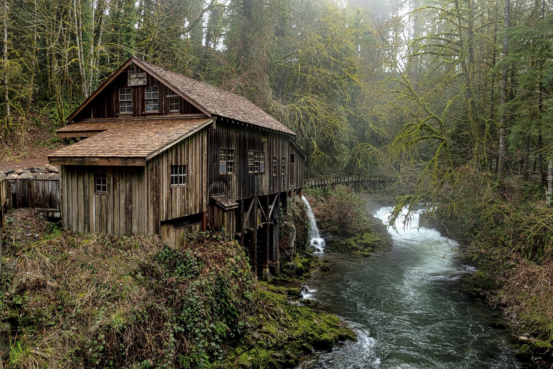 Stany Zjednoczone, Stan Waszyngton, Młyn, Cedar Creek Grist Mill, Rzeka, Las, Jesień