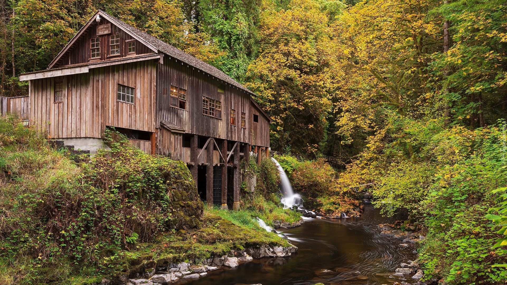 Młyn, Cedar Creek Grist Mill, Rzeka, Drzewa, Woodland, Stany Zjednoczone