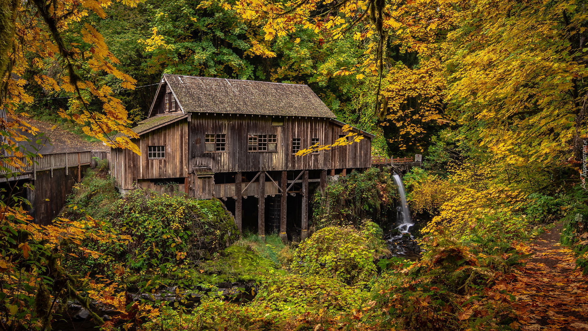 Jesień, Młyn Cedar Creek Grist Mill, Rzeka, Drzewa, Las, Woodland, Stan Waszyngton, Stany Zjednoczone