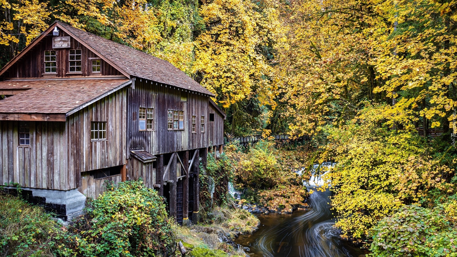 Młyn wodny, Cedar Creek Grist Mill, Rzeka, Lewis River, Drzewa, Las, Jesień, Woodland, Stan Waszyngton, Stany Zjednoczone