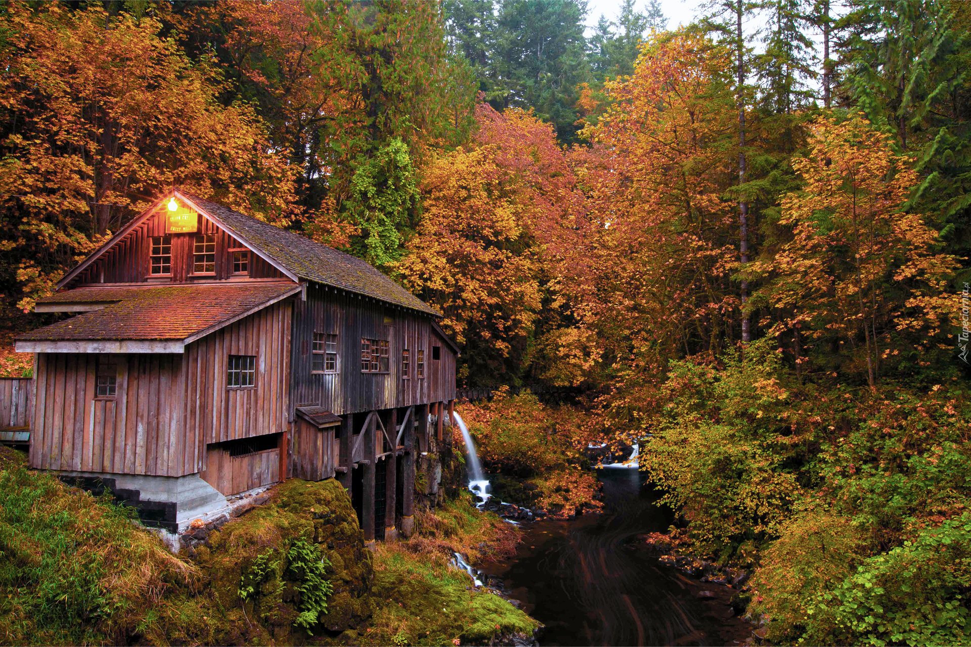 Młyn Cedar Creek Grist Mill, Rzeka, Drzewa, Las, Jesień, Woodland, Stan Waszyngton, Stany Zjednoczone