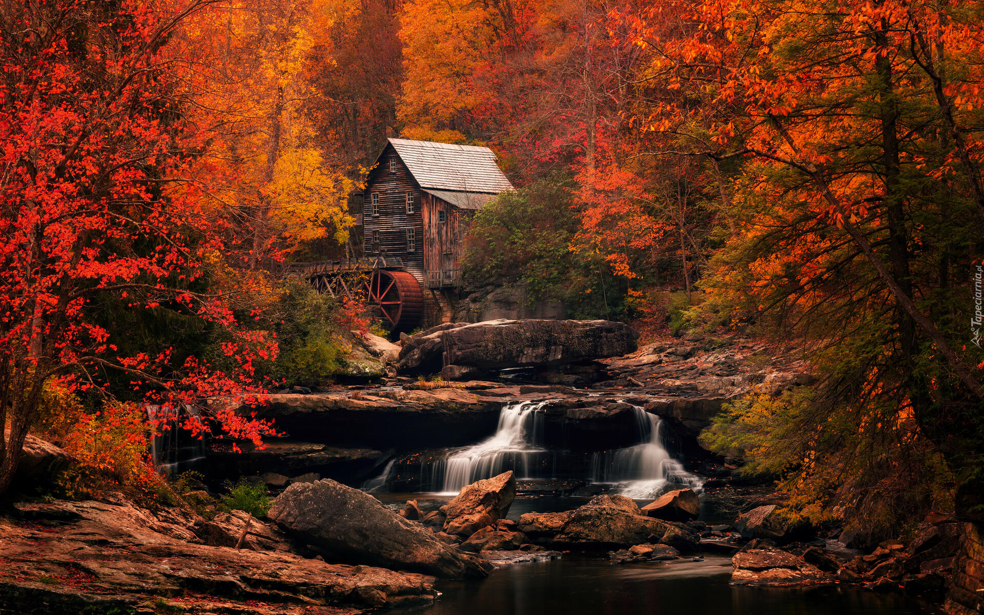 Jesień, Młyn, Glade Creek Grist Mill, Las, Drzewa, Rzeka, New River Gorge, Skały, Park Babcock State, Wirginia Zachodnia, Stany Zjednoczone