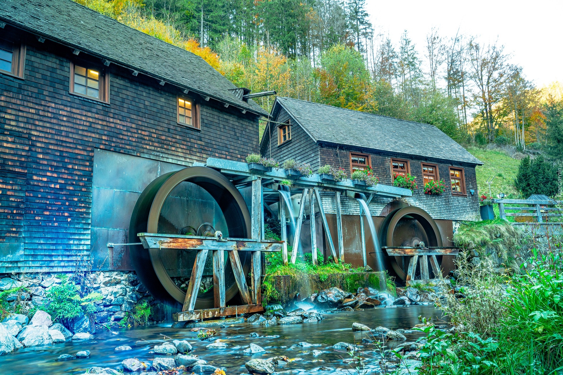 Młyn, Hexenloch Mill, Restauracja, Czarny Las, Niemcy