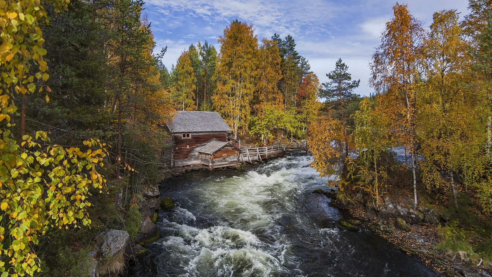 Las, Drzewa, Rzeka, Młyn Myllykoski, Jesień, Park Narodowy Oulanka, Gmina Kuusamo, Laponia, Finlandia