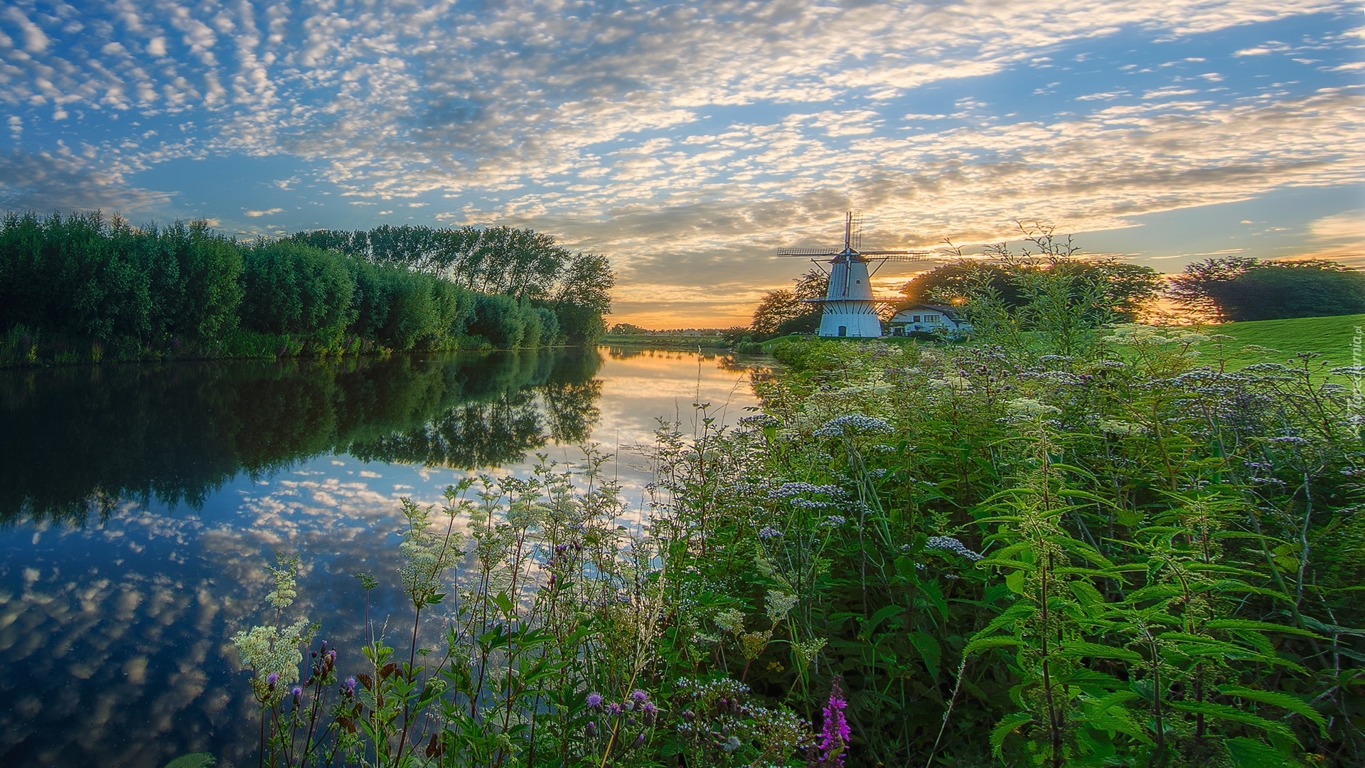 Holandia, Prowincja Geldria, Gmina Geldermalsen, Rzeka, Wiatrak, Roślinność, Drzewa, Wschód słońca, Chmury, Odbicie