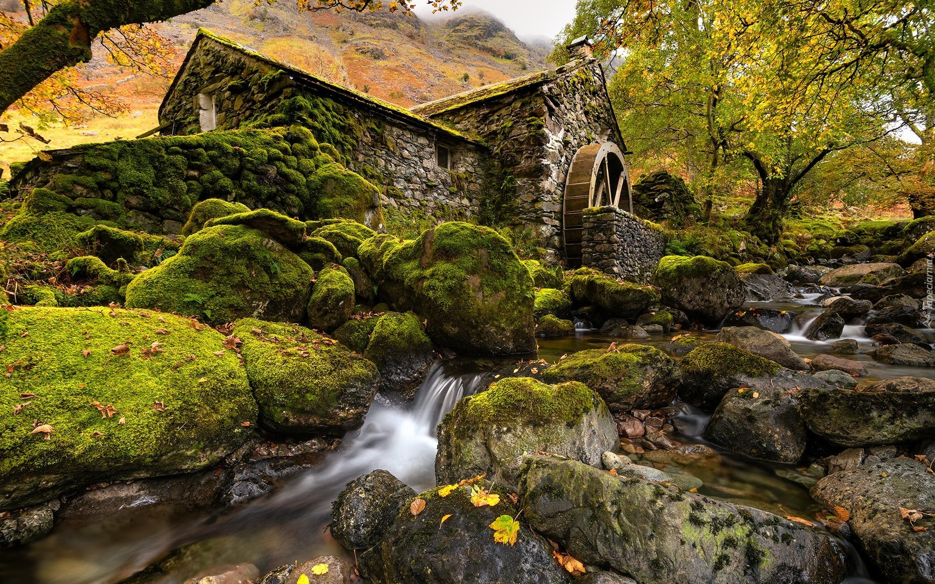 Młyn wodny, Drzewa, Rzeka, Omszałe, Kamienie, Jesień, Borrowdale, Kumbria, Anglia