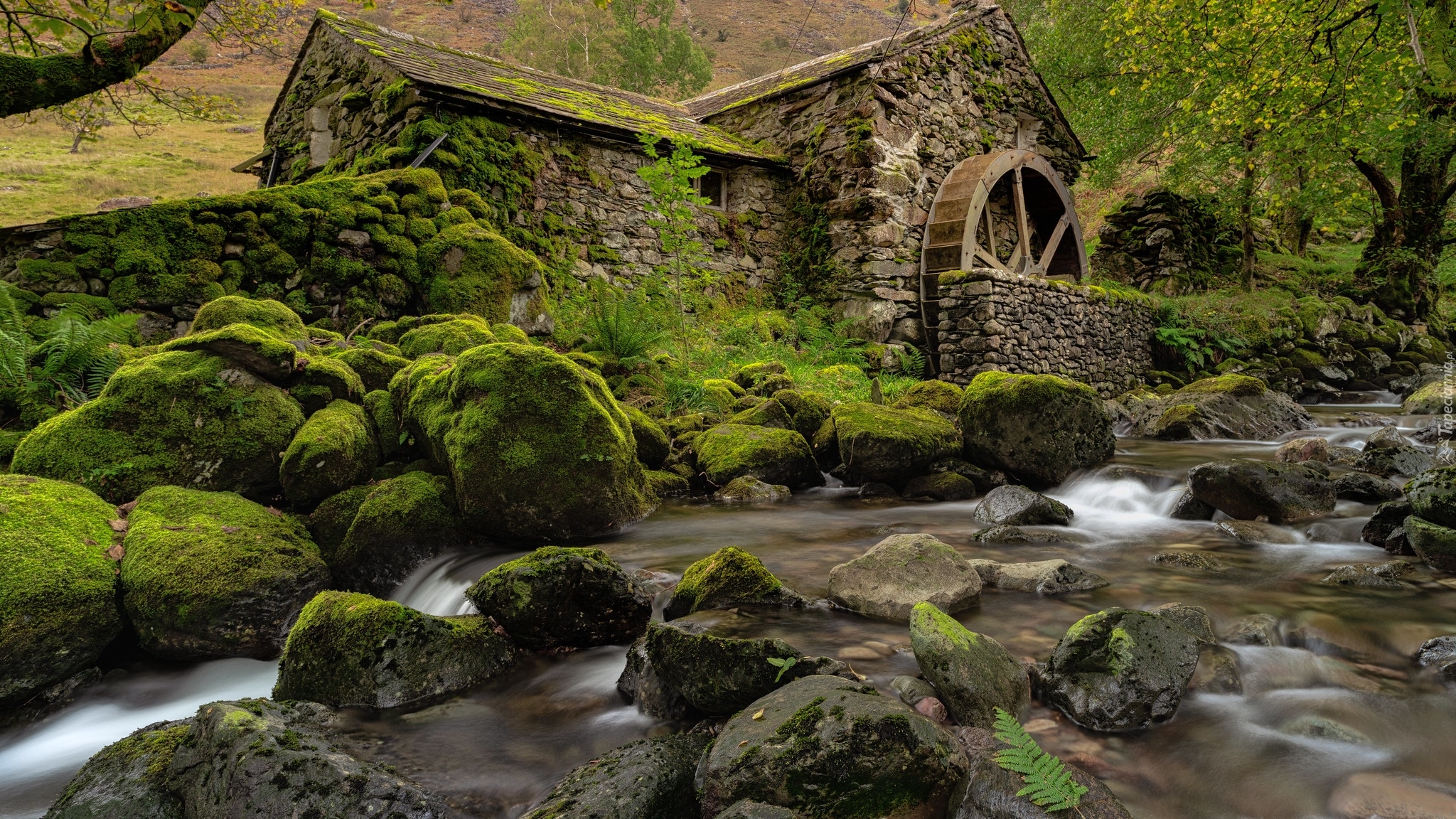 Rzeka, Młyn wodny, Omszałe, Kamienie, Borrowdale, Cumbria, Anglia