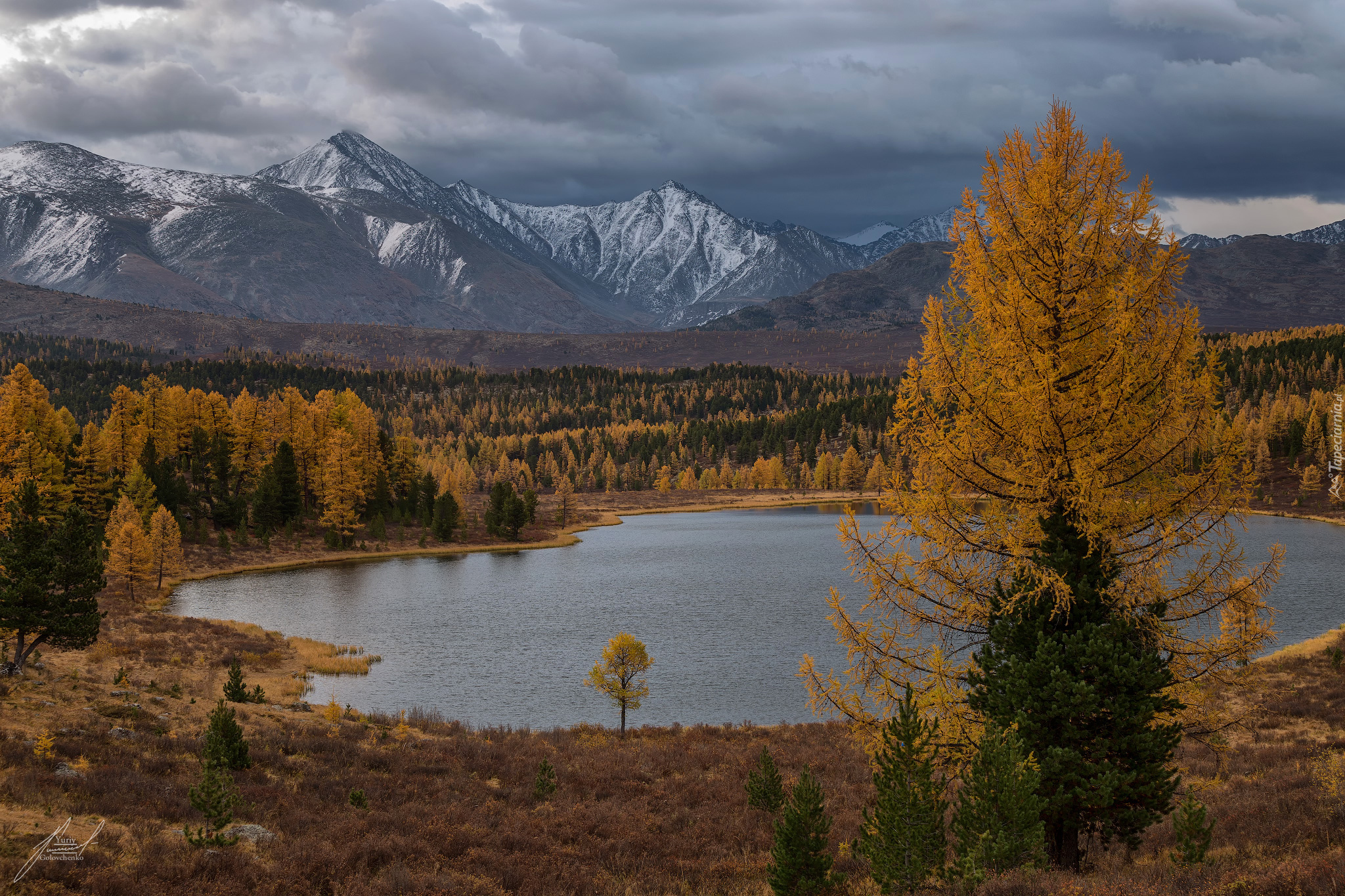 Jesień, Góry, Jezioro Kidelyu, Drzewa, Modrzew, Ałtaj, Rosja