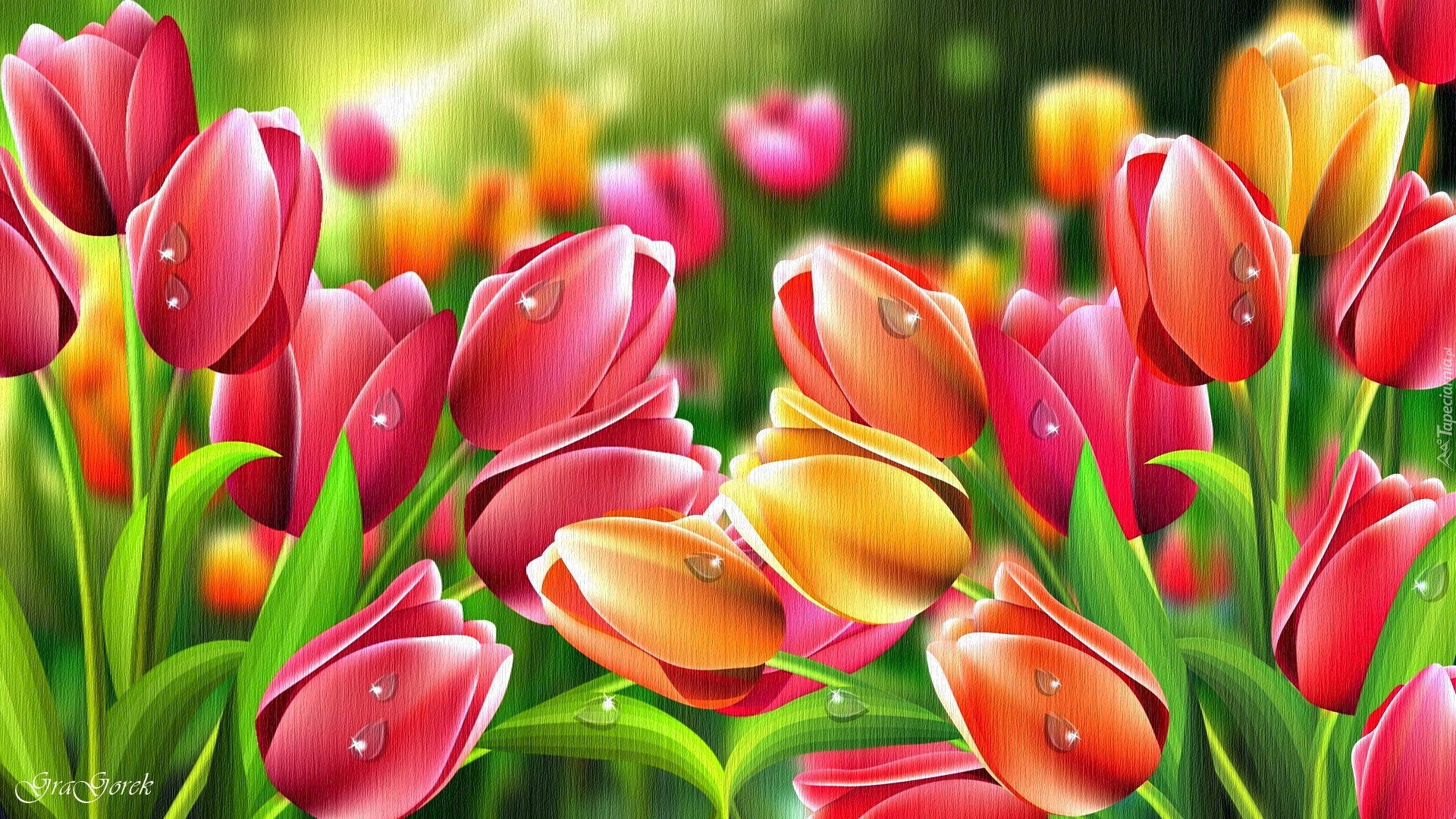 Tulipany, Kwiaty, Grafika