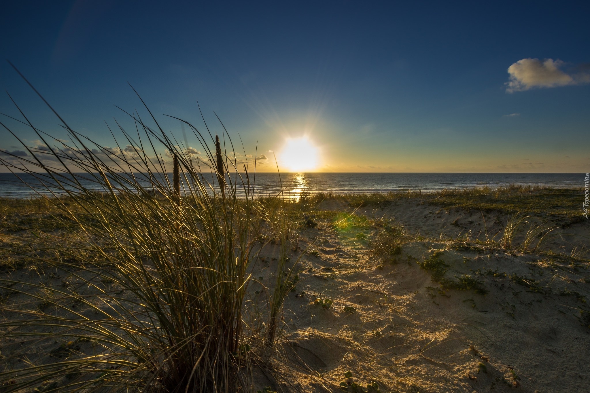 Plaża, Trawy, Wschód słońca, Morze