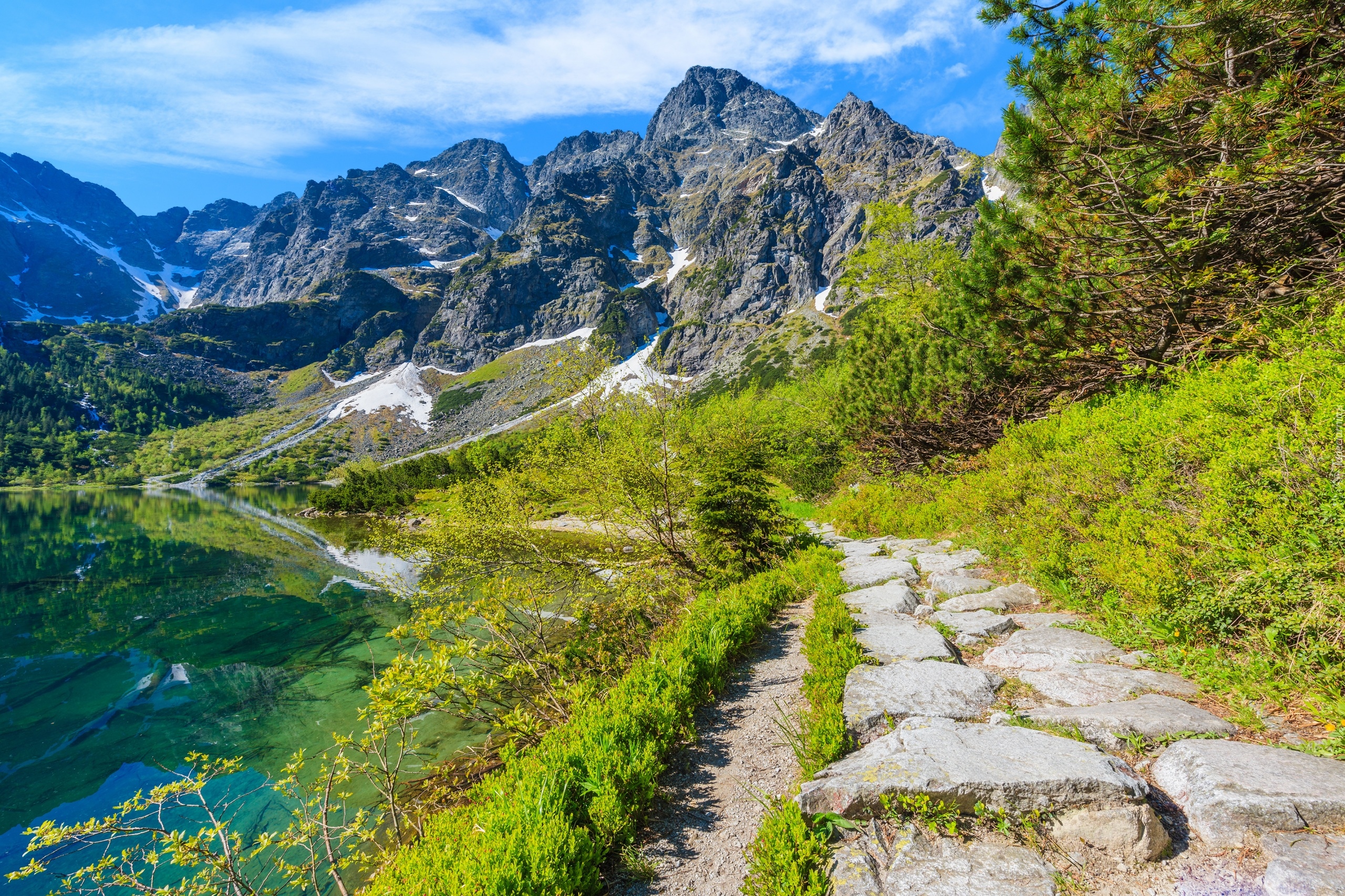 Polska, Góry Tatry, Mięguszowickie Szczyty, Jezioro Morskie Oko, Drzewa, Ścieżka