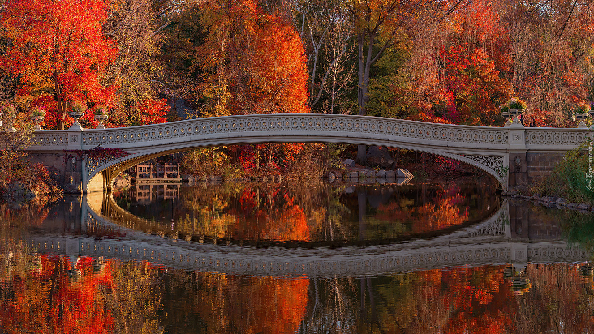 Stany Zjednoczone, Nowy Jork, Central Park, Jesień, Most, Bow Bridge, Jezioro, Drzewa, Odbicie