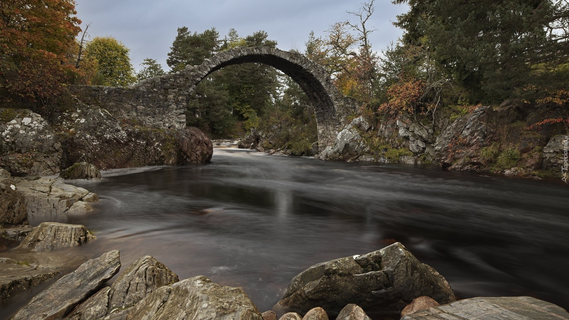 Rzeka, River Dulnain, Most, Coffin Bridge, Skały, Drzewa, Park Narodowy Cairngorms, Szkocja