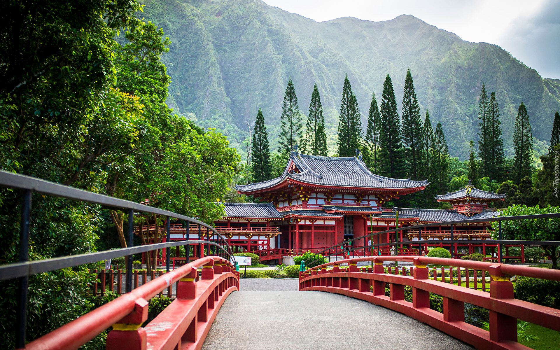 Stany Zjednoczone, Hawaje, Wyspa Oahu, Most, Budowla, Świątynia, Byodo-In, Replika, Drzewa, Góry