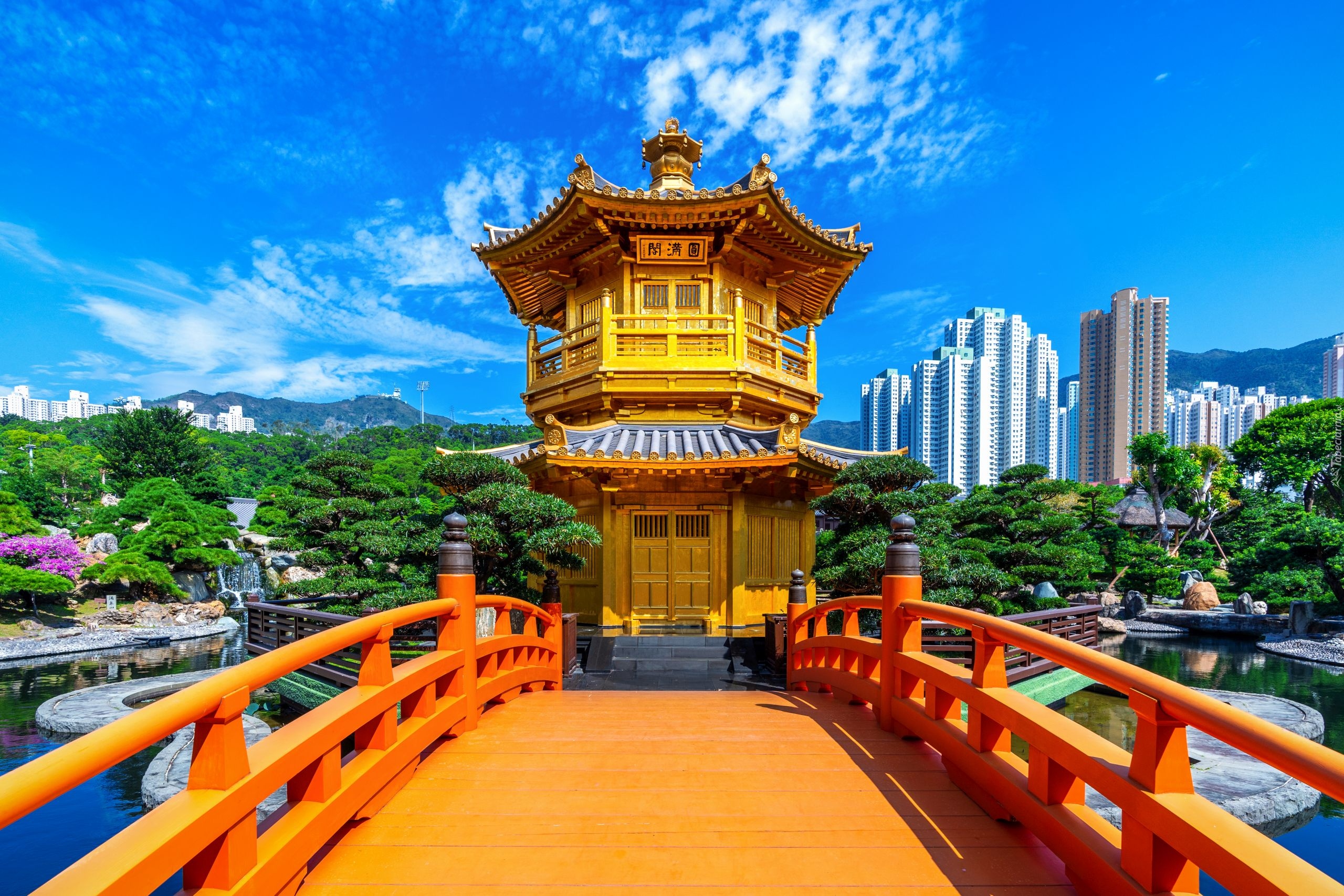 Świątynia, Golden Pavilion Chi Lin Nunnery Temple, Ogród, Chi Lin Nunnery, Most, Diamond Hill, Hongkong, Chiny