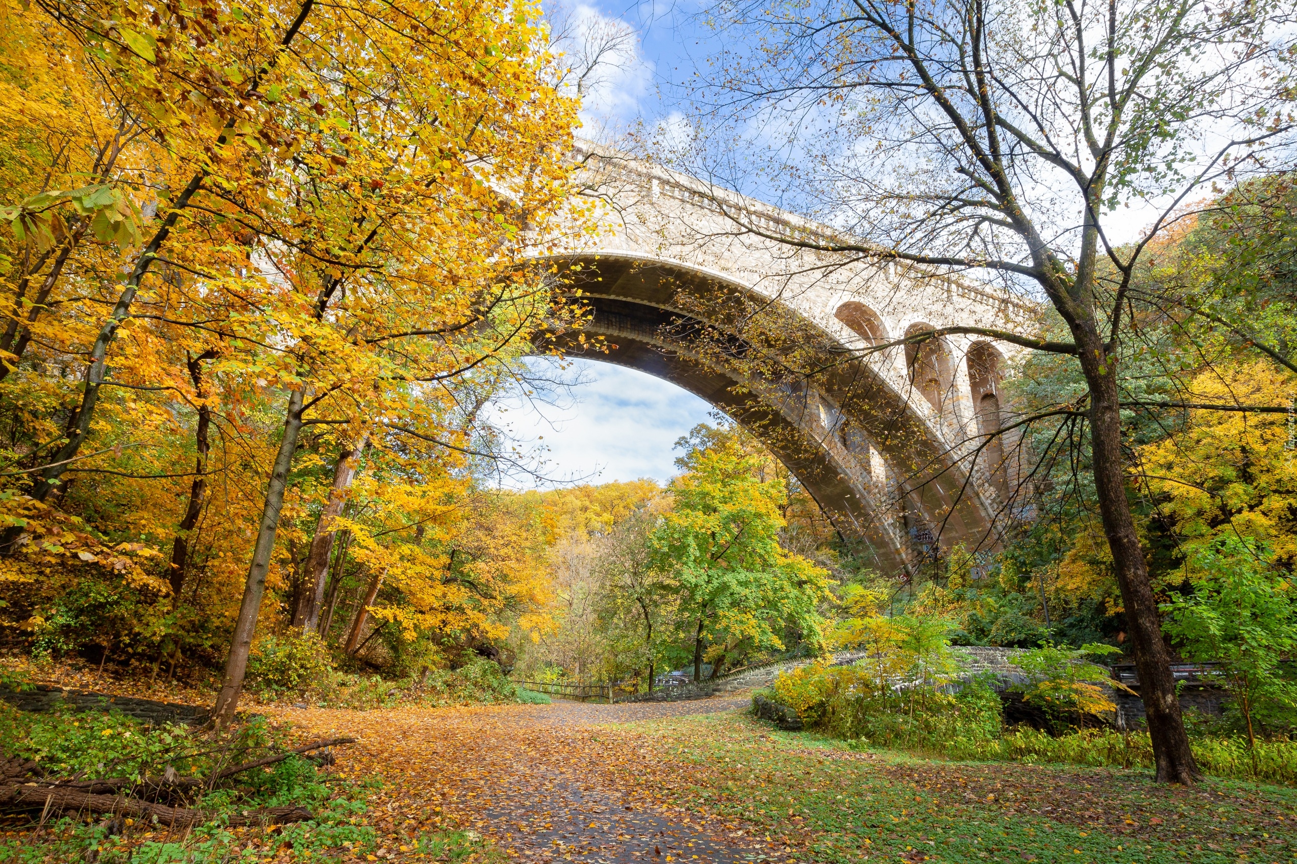 Most, Henry Avenue Bridge, Drzewa, Jesień, Filadelfia, Stan Pensylwania, Stany Zjednoczone