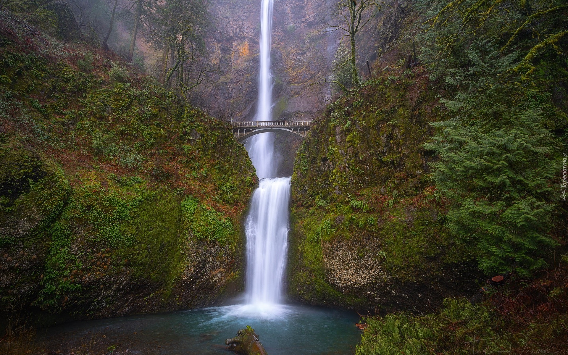 Wodospad, Multnomah Falls, Most, Skały, Drzewa, Multnomah, Oregon, Stany Zjednoczone
